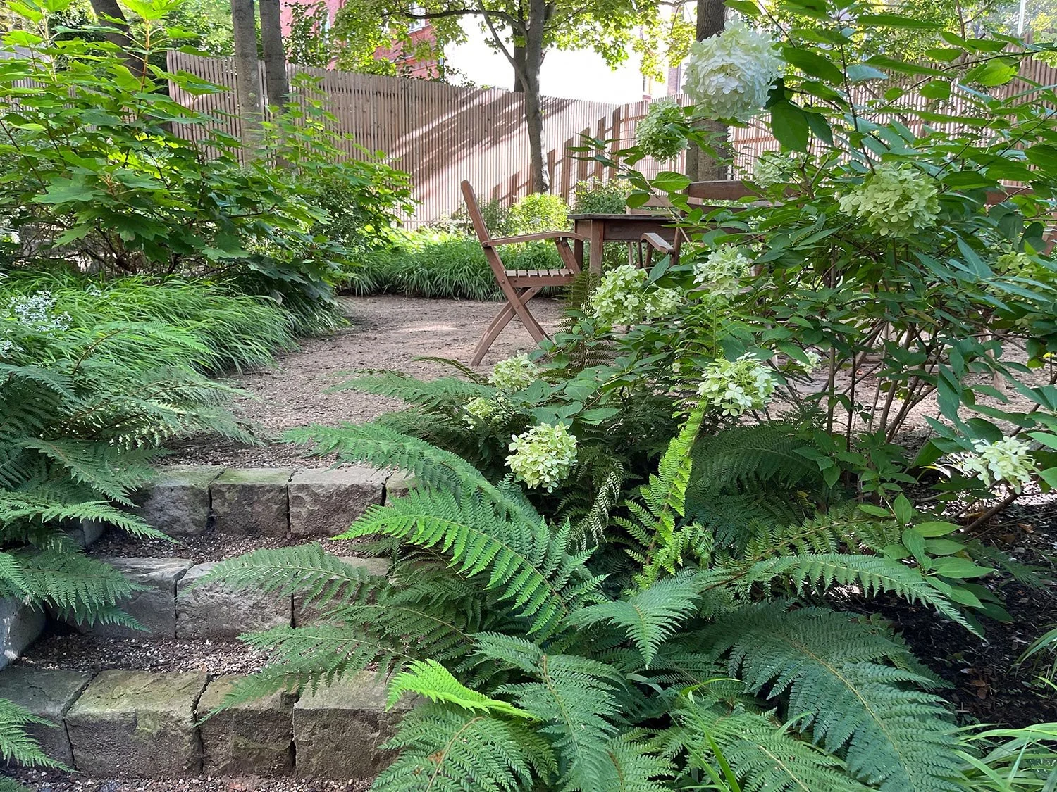 Garten unter Bäumen mit Farnen, weißen Hortensien, einem Sitzplatz mit Stühlen und einem Tisch, umgeben von einem Holzzaun.