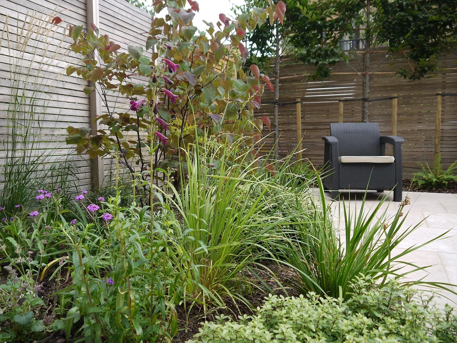 Garten mit verschiedenen Pflanzen, Holz- und Metalmauern, graues Sitzmöbel auf gepflastertem Boden