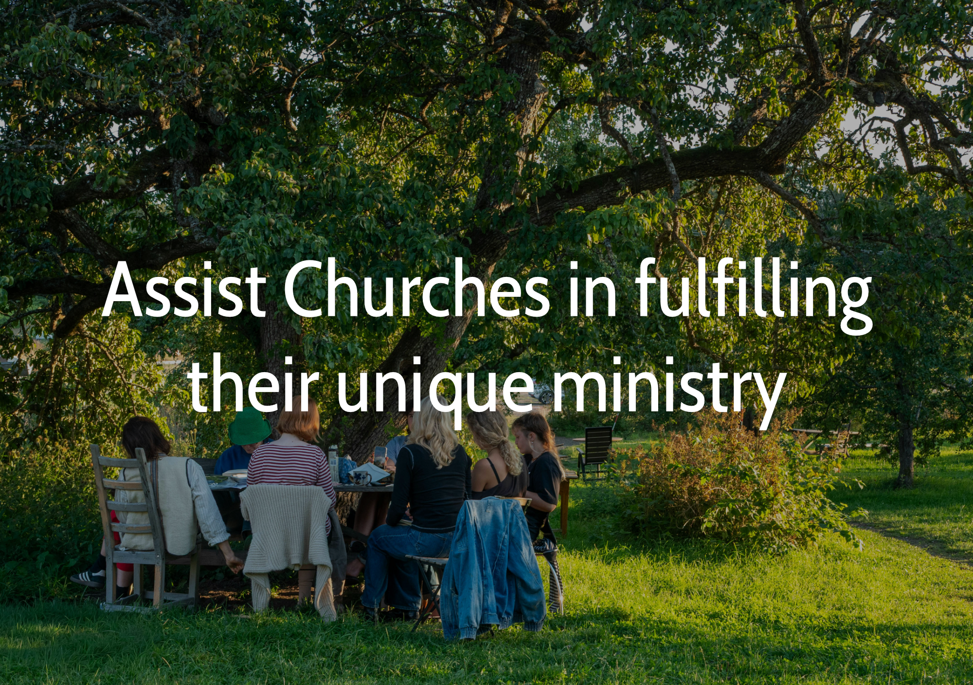 People gathered outdoors at a picnic table underneath a large, leafy tree while listening to a speaker.