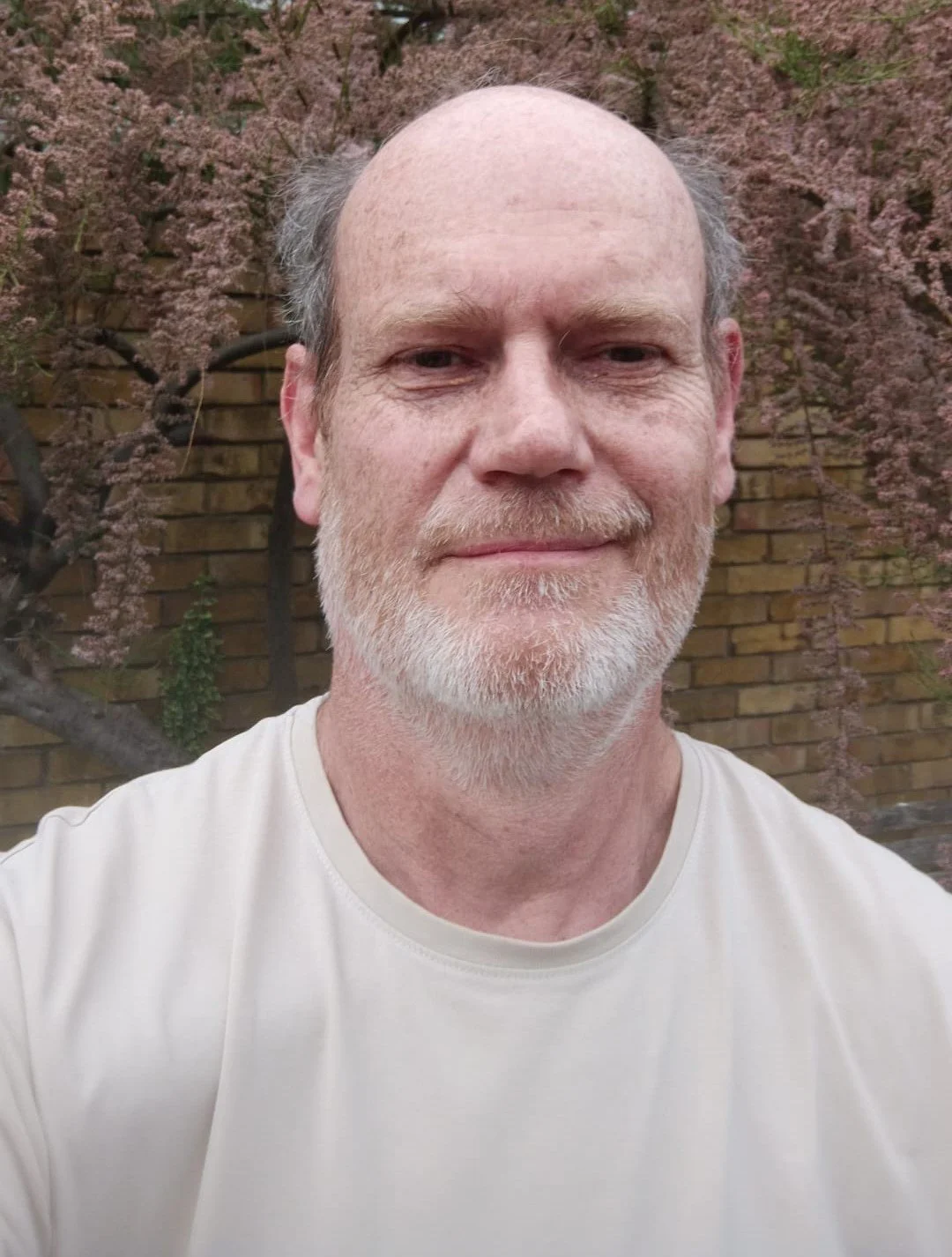 A man with a beard and bald head smiling, standing in front of pink flowering trees and a brick wall.