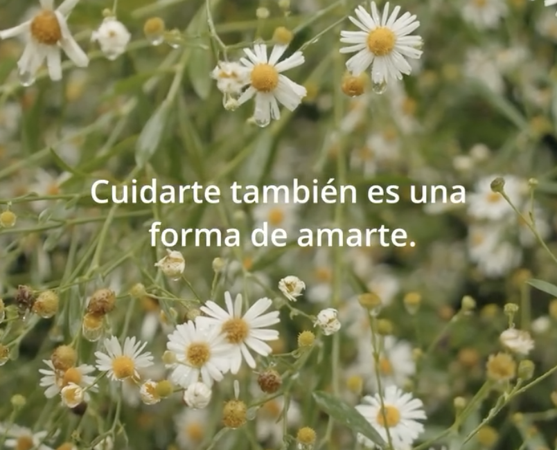 Texto que dice 'Cuidarte también es una forma de amarte' sobre un fondo de flores blancas y amarillas, en un campo de margaritas.