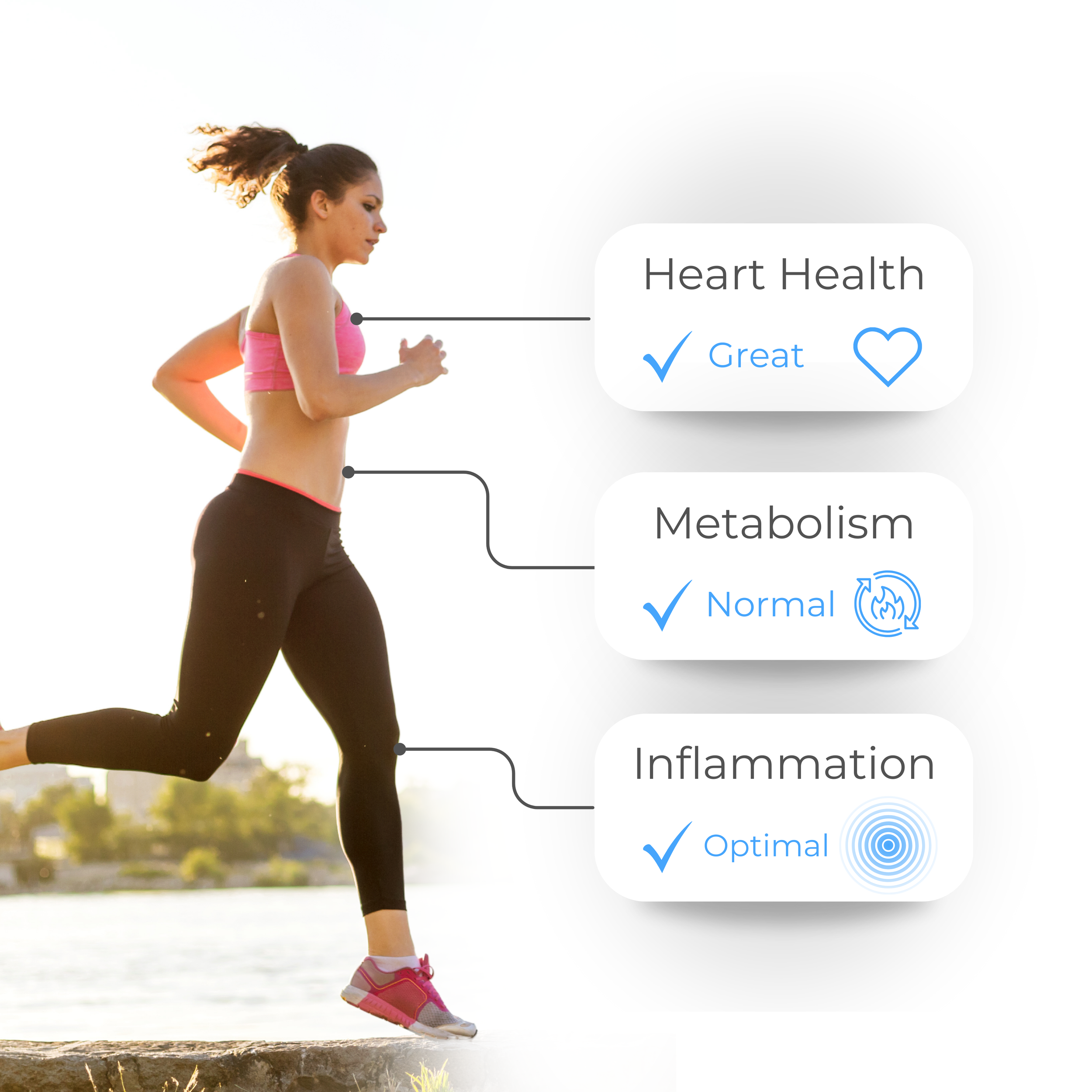 A woman jogging outdoors near water with a leaderboard-style overlay showing health metrics: Heart Health marked as Great, Metabolism marked as Normal, and Inflammation marked as Optimal.