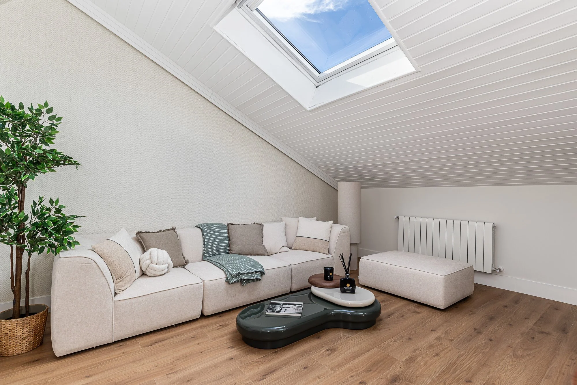 WF BARQUILLO 36 WEB_001.jpg