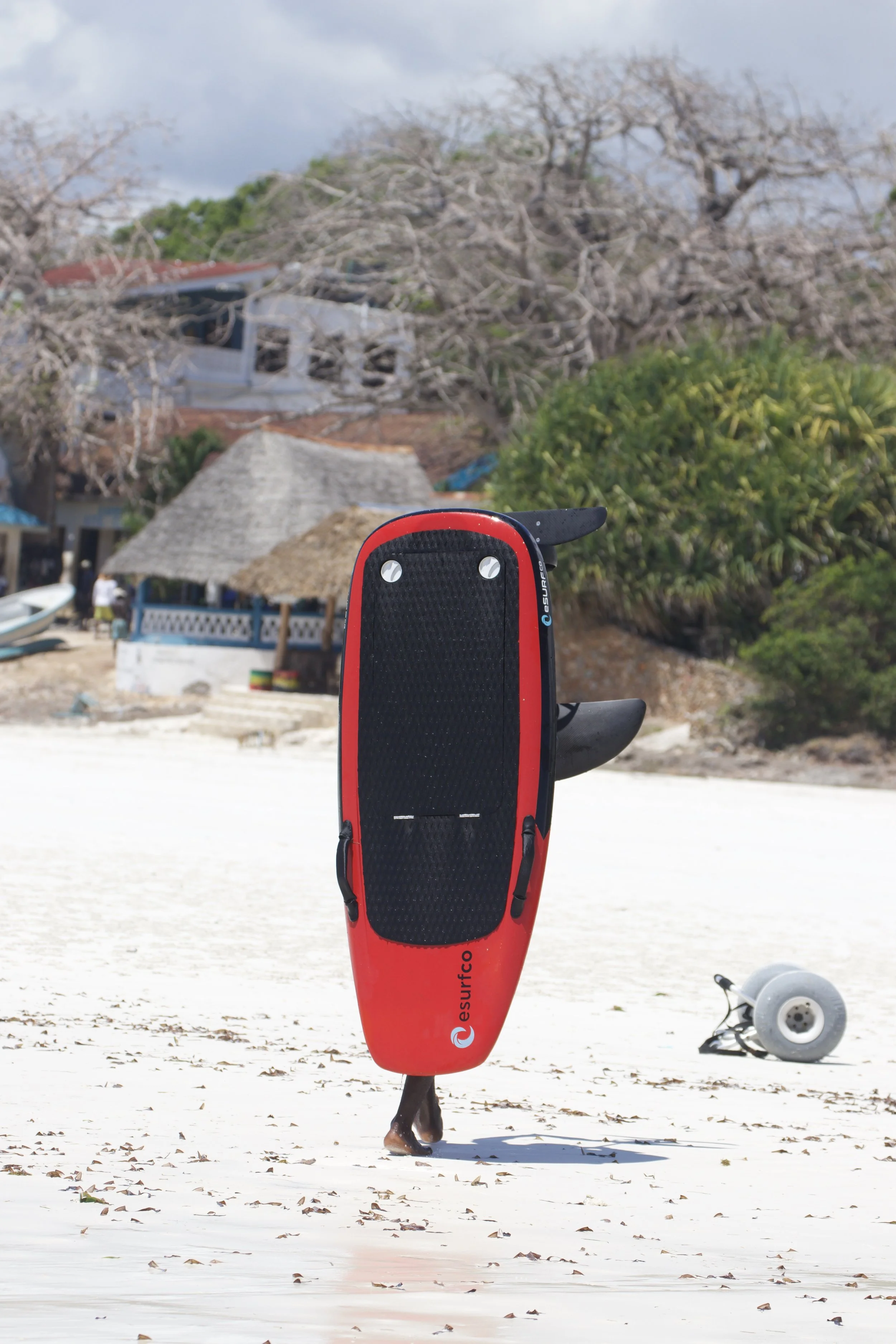 A person walking on a beach with a red surfboard covering their body, standing on one leg. The beach has white sand with some dried leaves, and there are houses with thatched roofs and trees in the background.