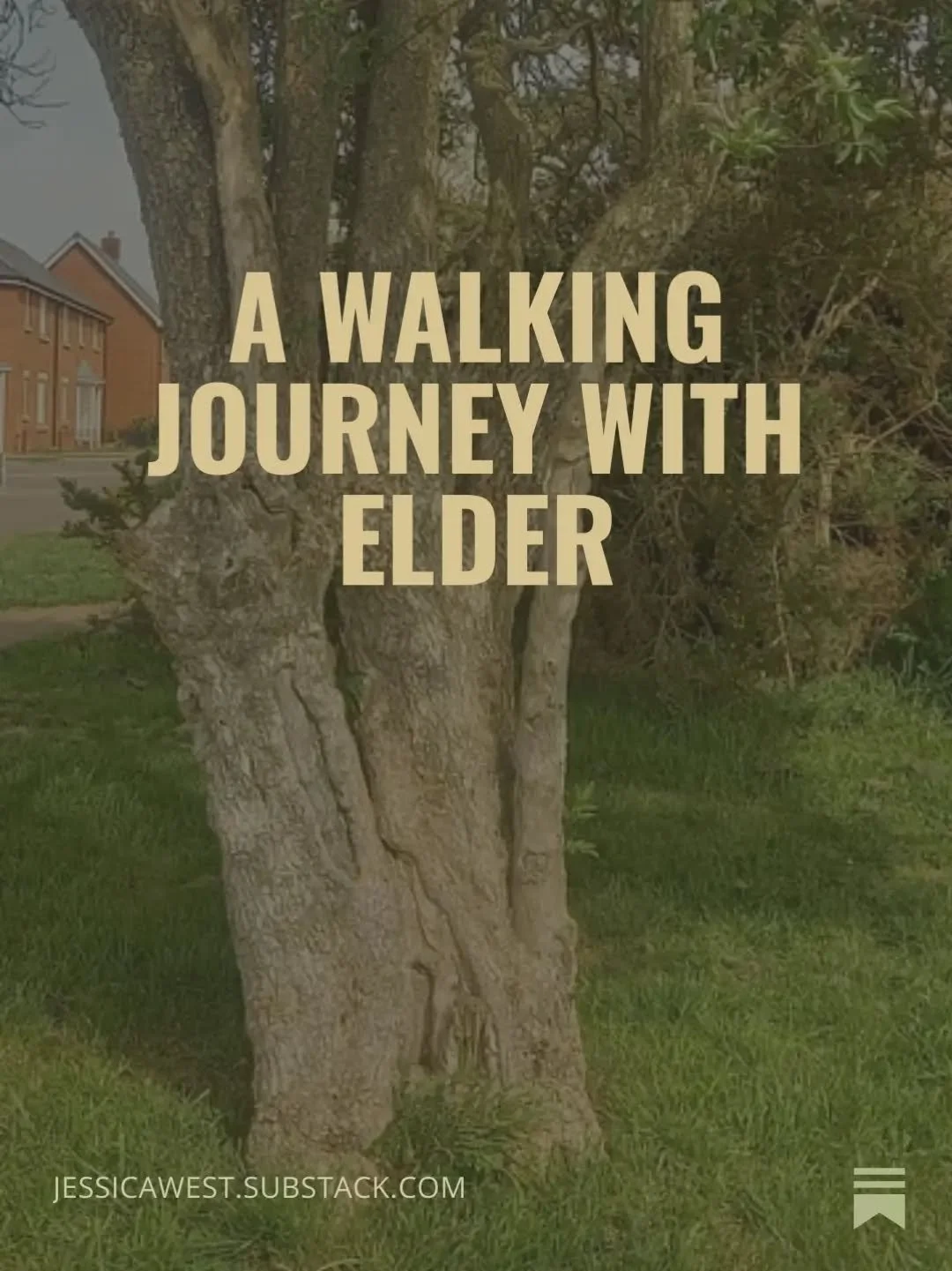 Find out what happened when I went on a walking journey with Elder (with a guest appearance from Willow!)

Read more on my Substack below 👇 

https://open.substack.com/pub/jessicawest/p/a-walking-journey-with-elder?utm_source=share&amp;utm_medium=an