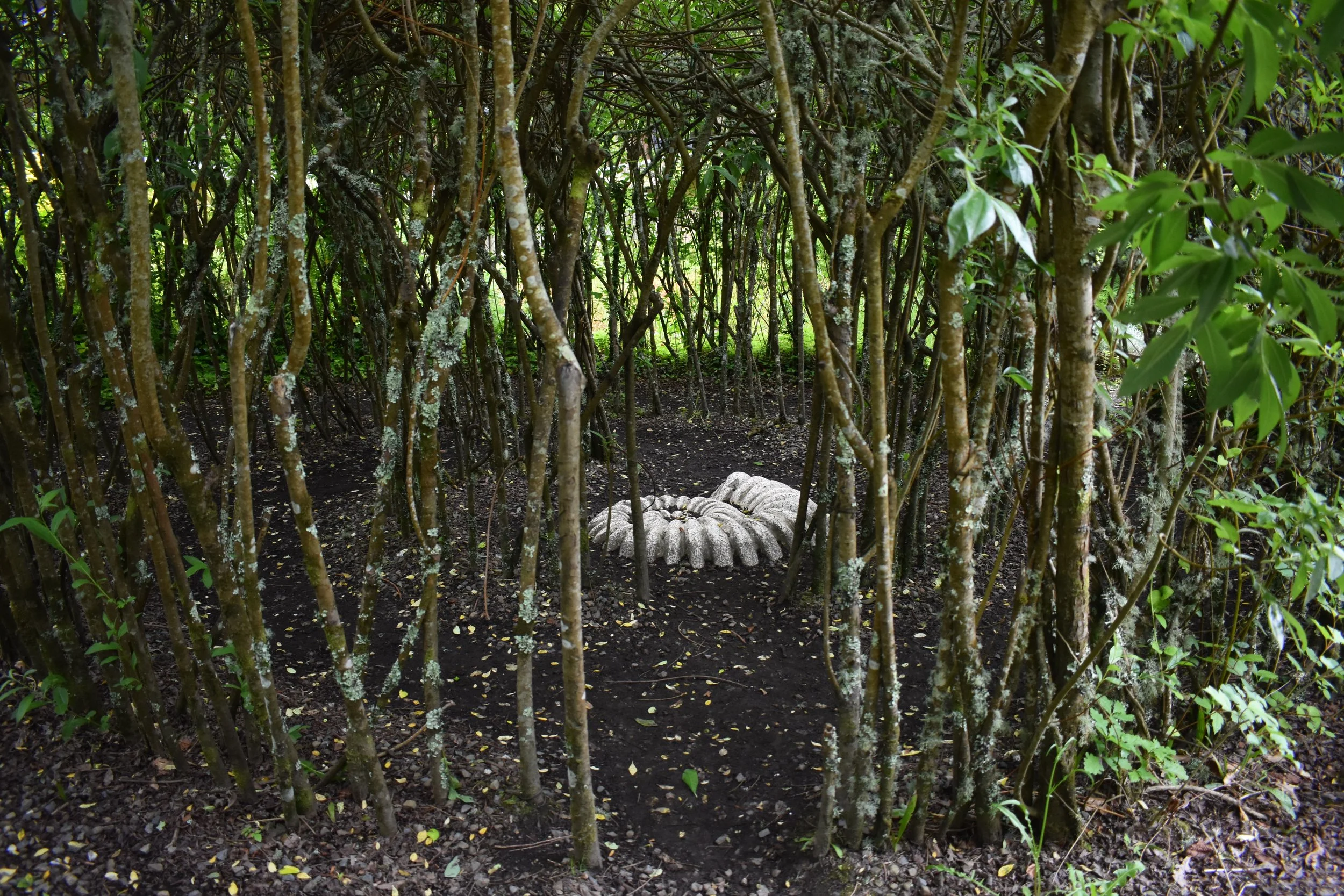 Ancestral healing and reconnection