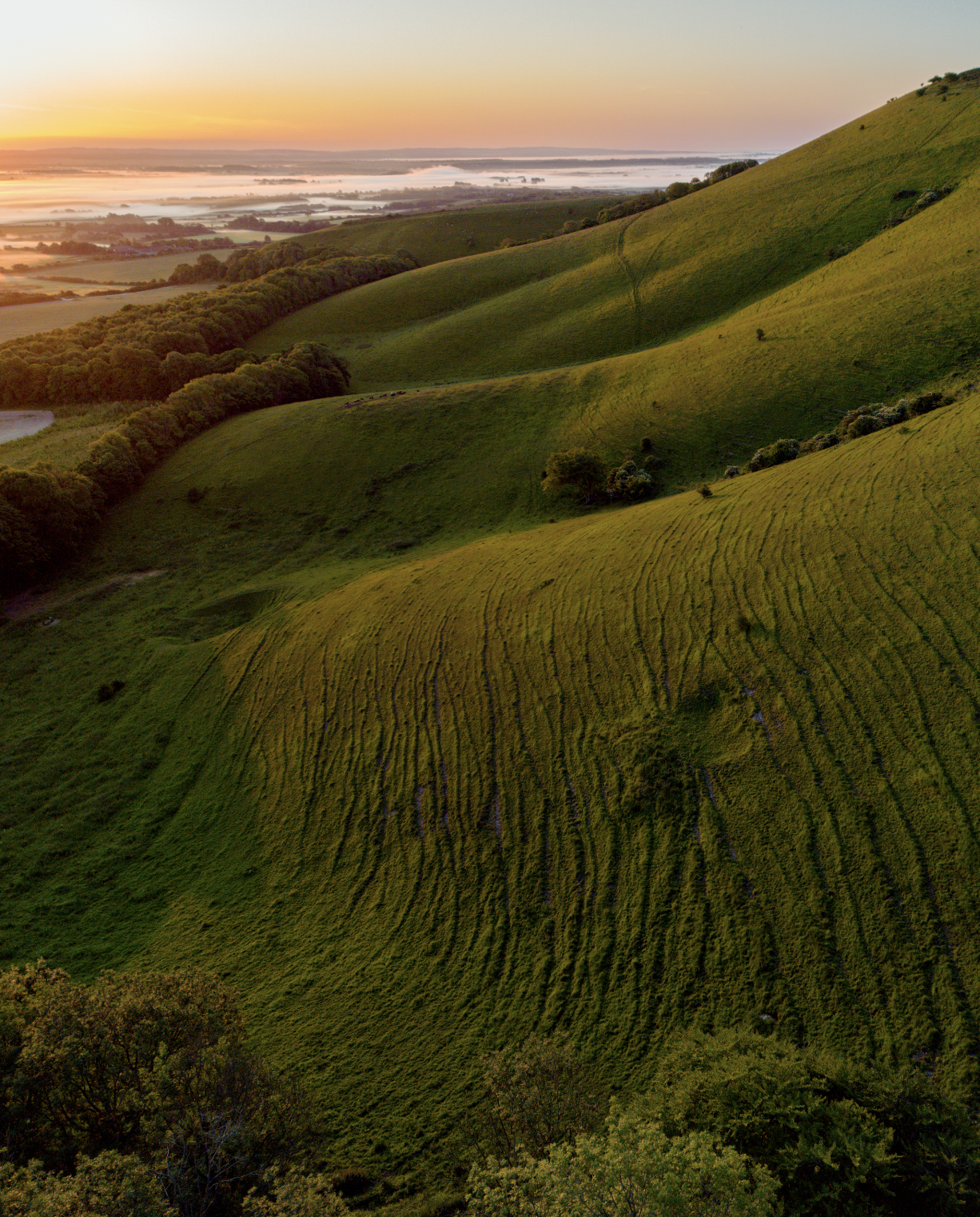 Sunrise over green rolling hills with cultivated fields, trees, and a river in the distance.