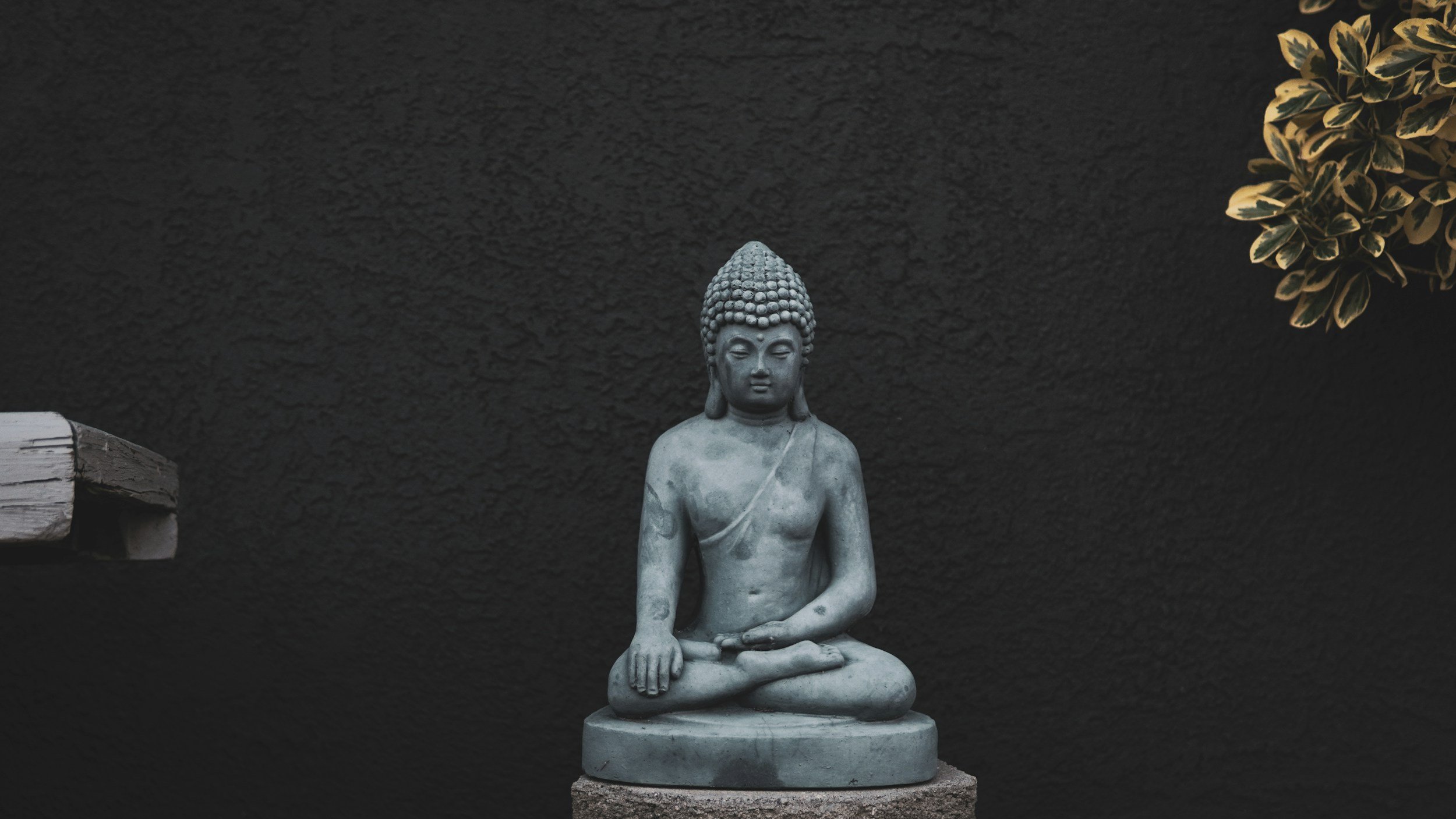 Rallentare per Esistere: la Meditazione come Cura al Malessere Moderno