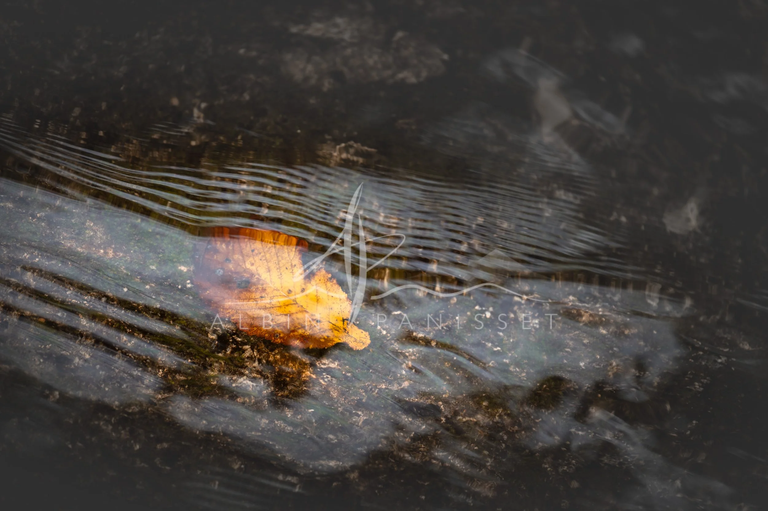 Sous l'eau