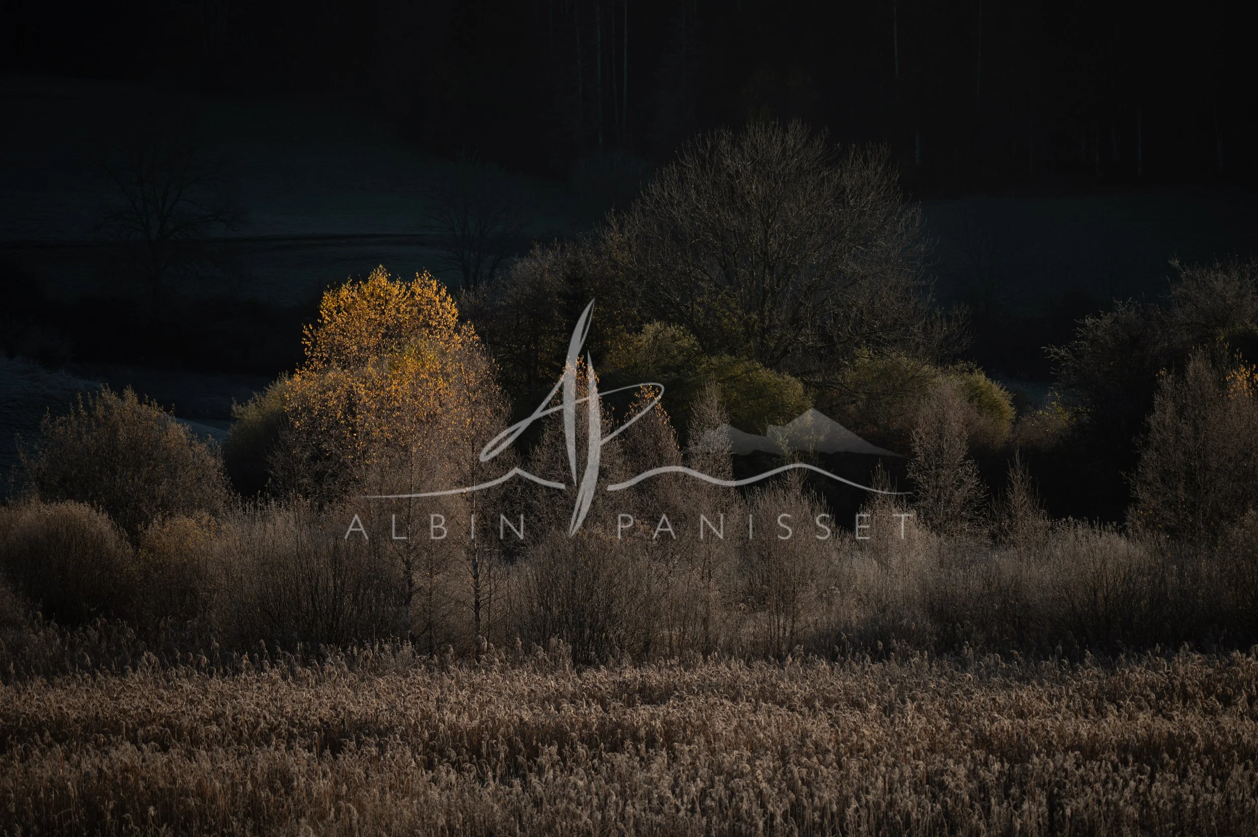 Automne hiver