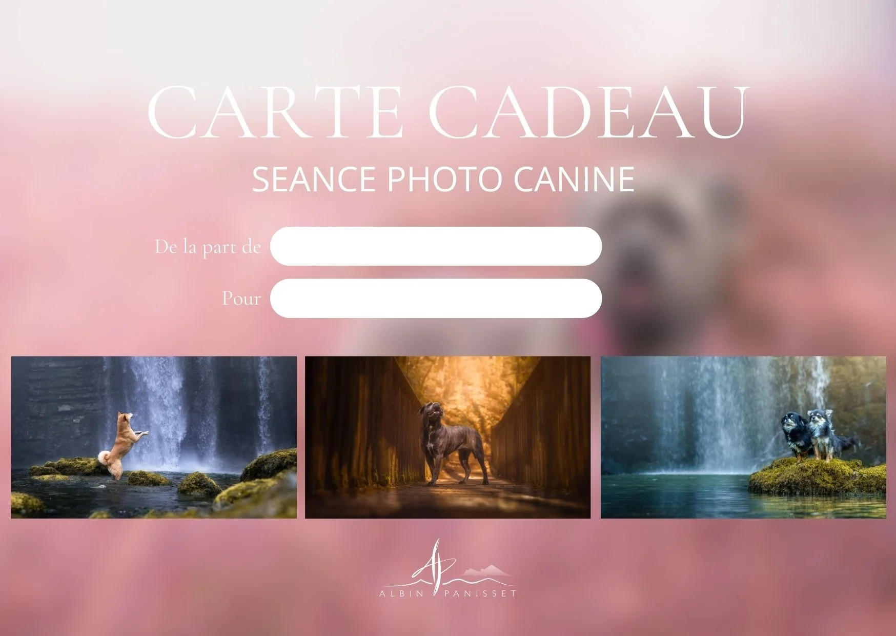 Formule Argent RECTO.jpg