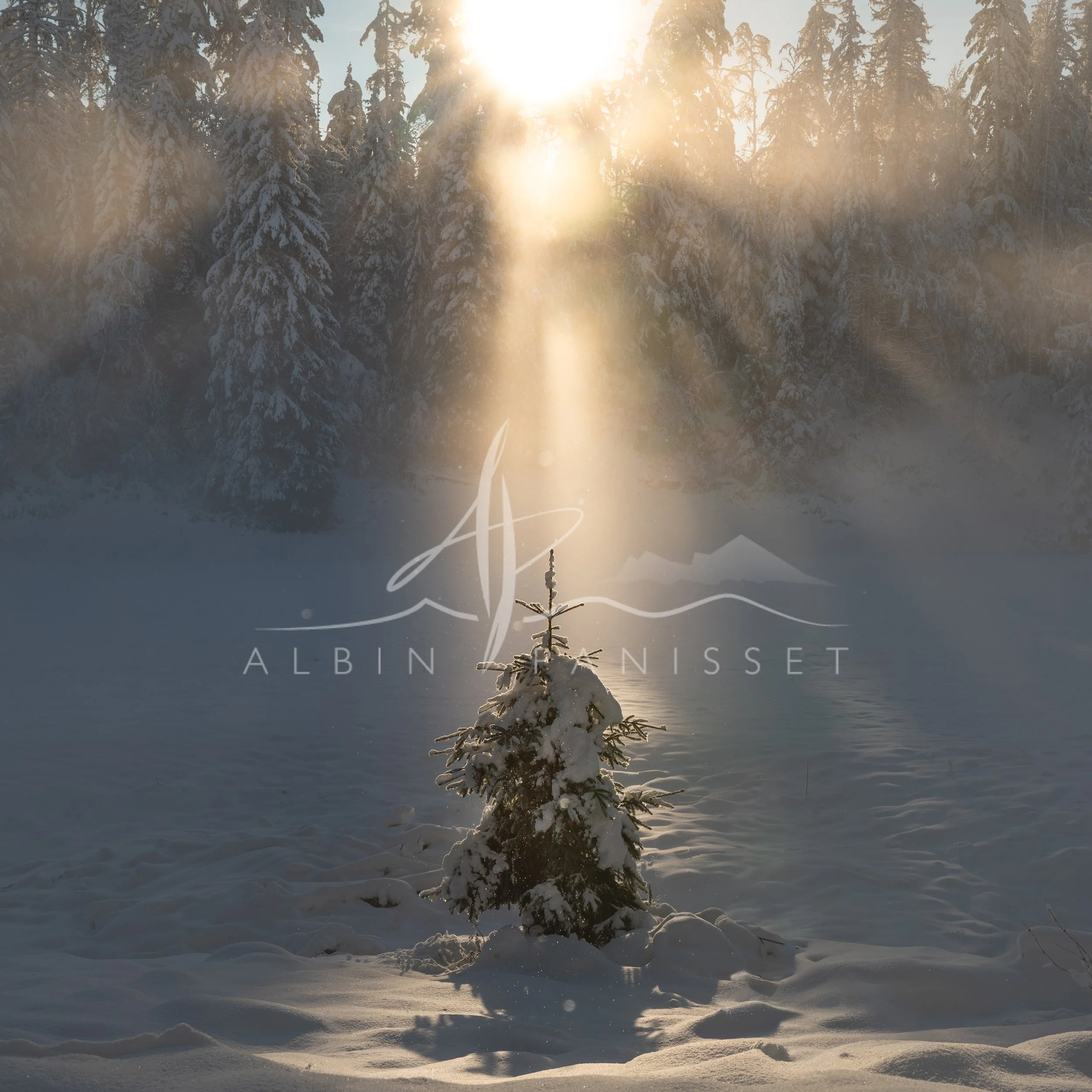 Poursuite hivernale II