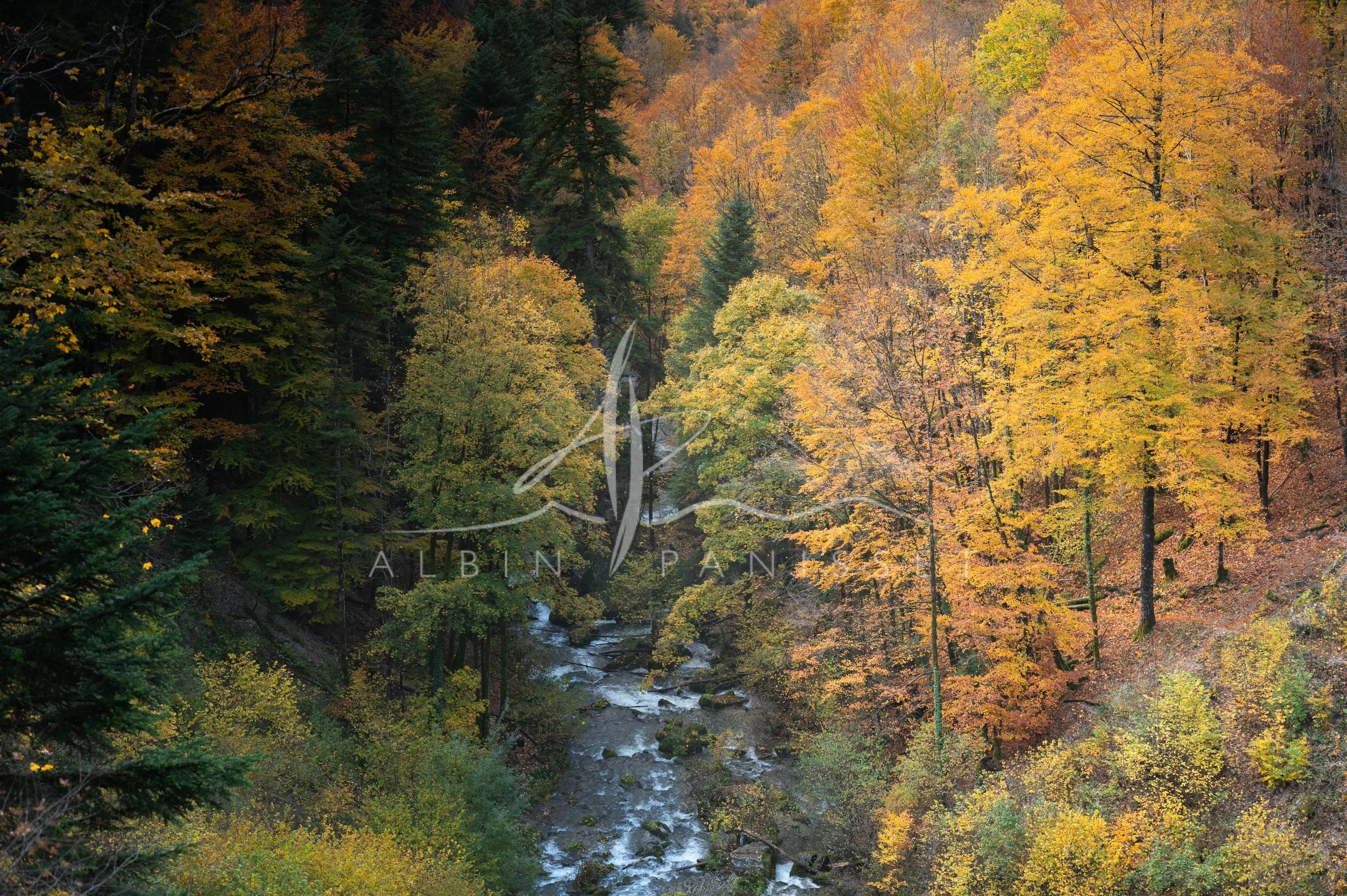 Cascade du Hérisson - Rivière