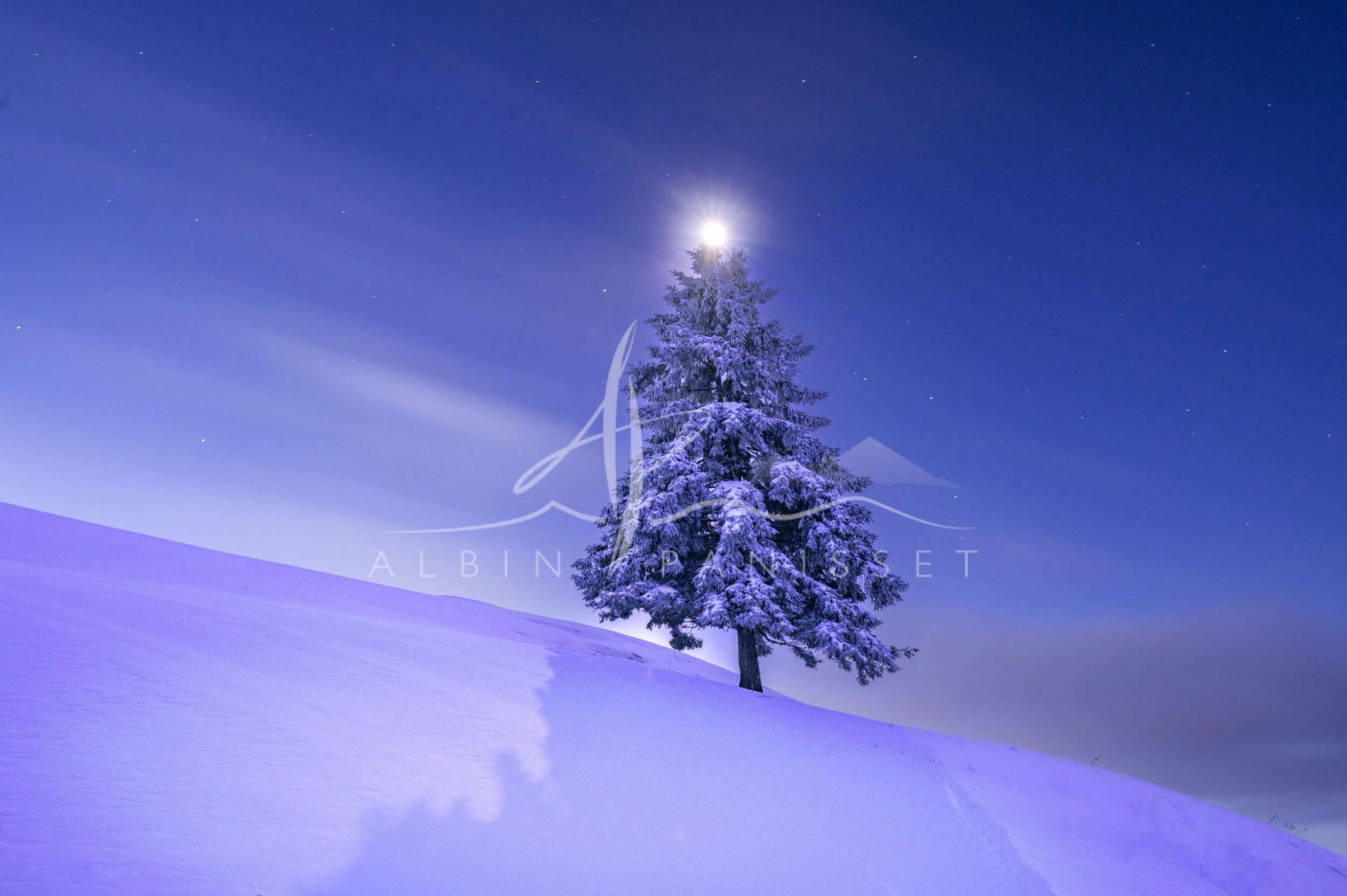 Sapin de Noël
