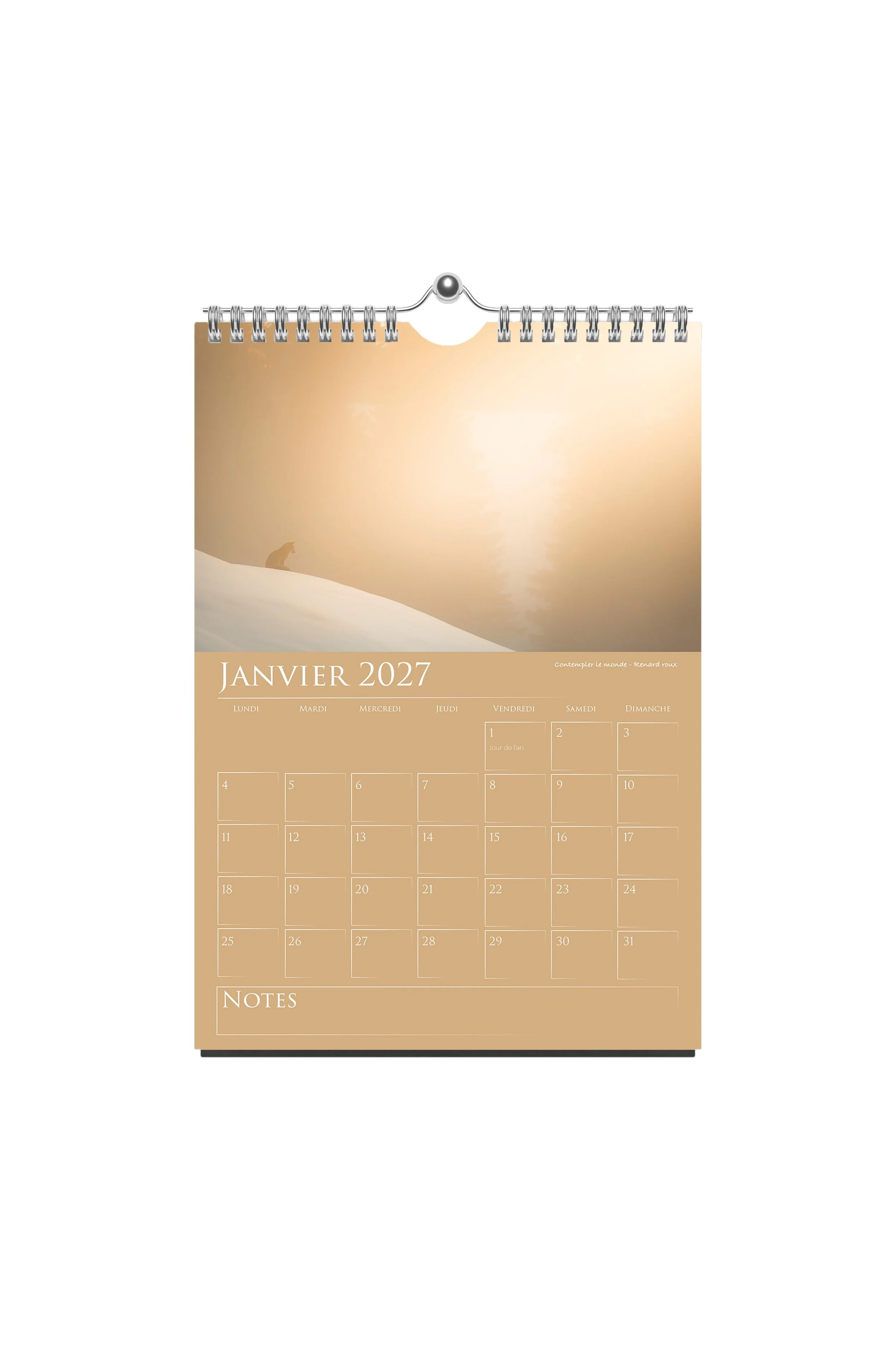 janvier.jpg