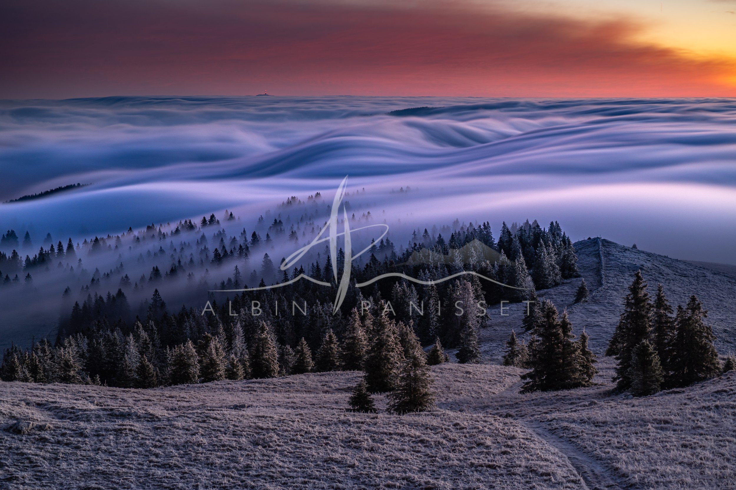 Fogwave