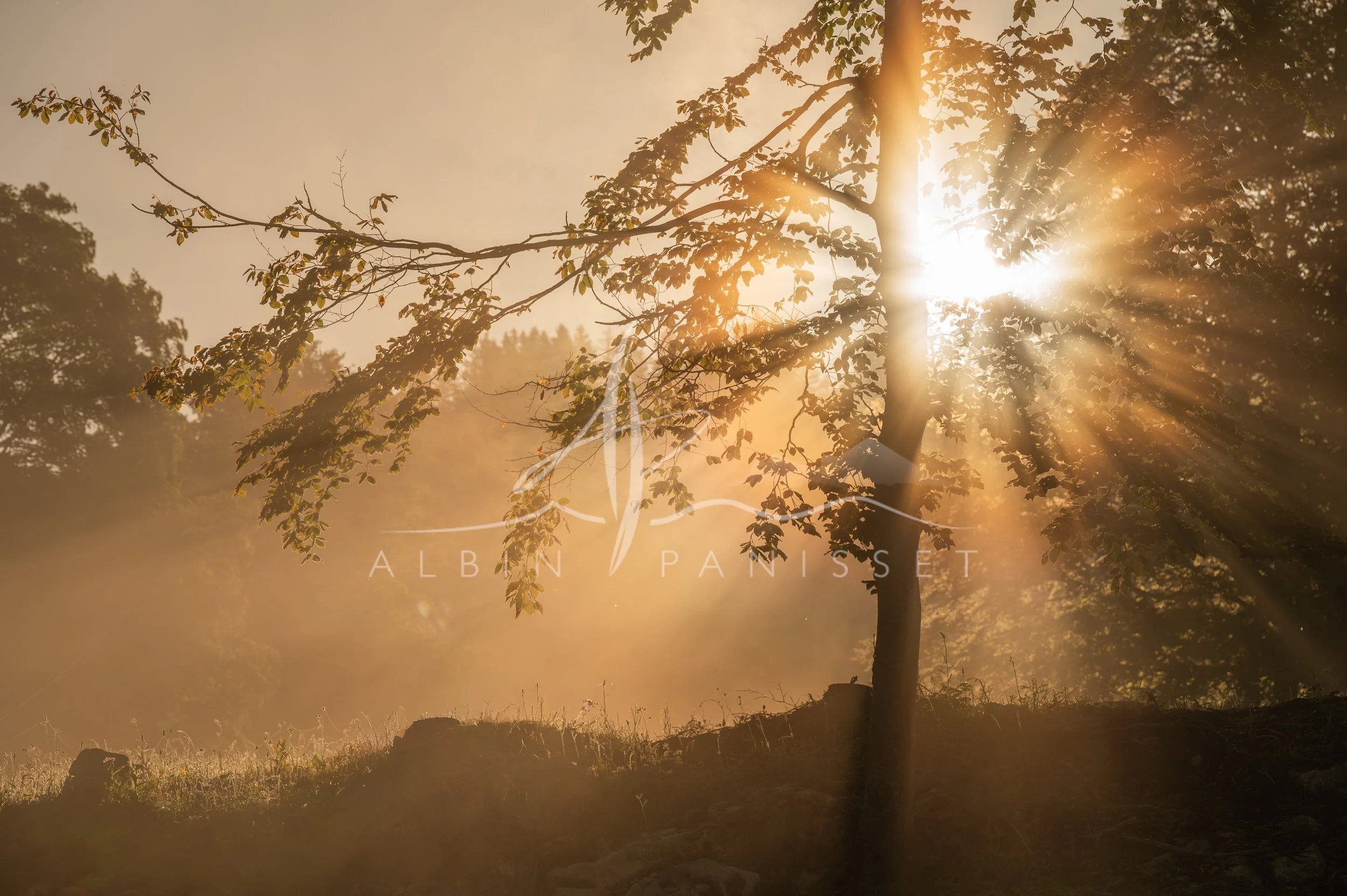 Filtre et soleil II
