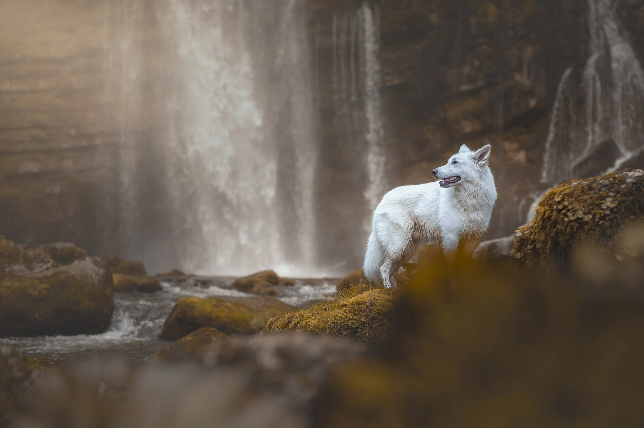 APA_0006-Modifier.jpg (copie)