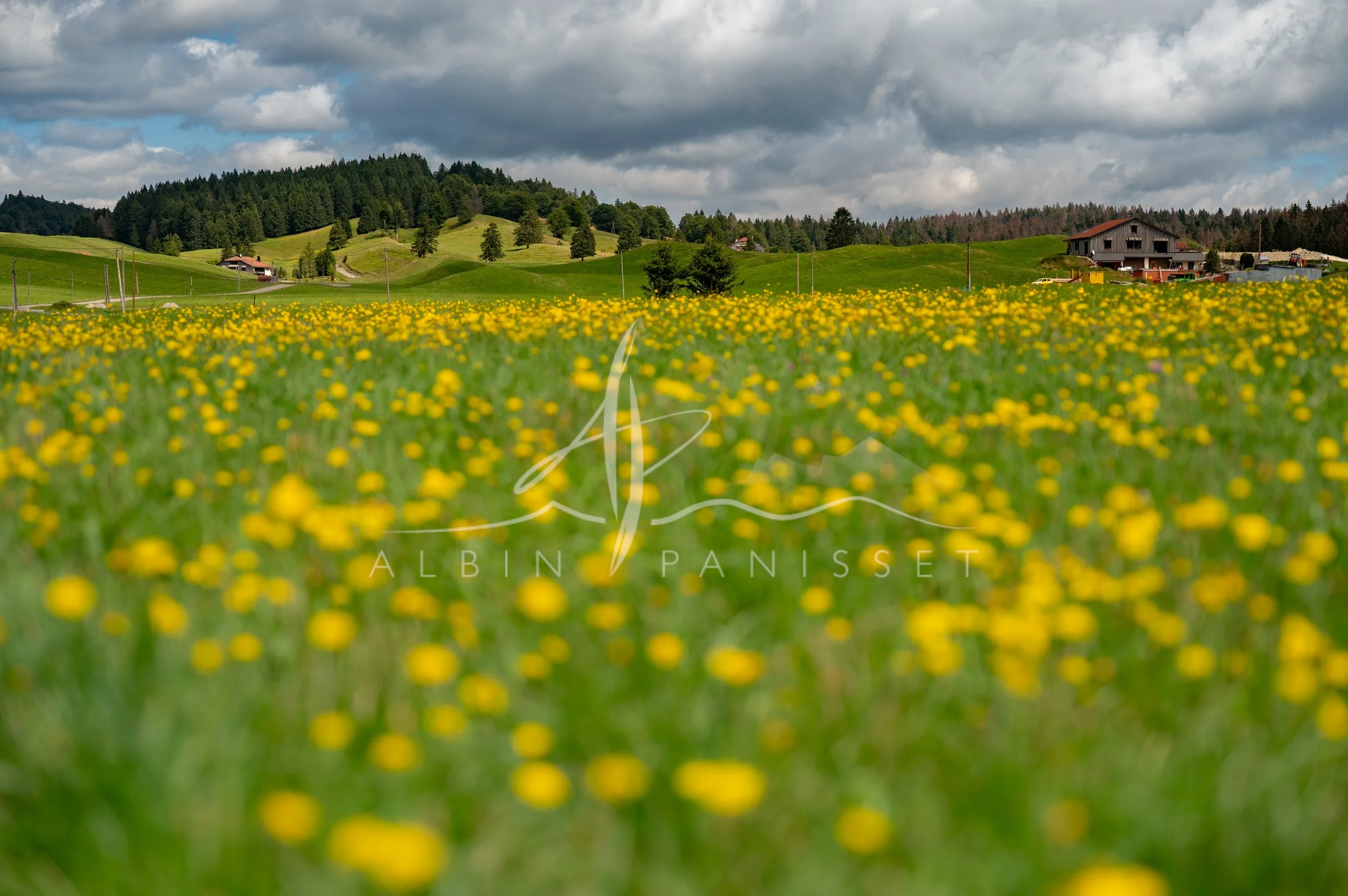 Printemps dans le Haut-Jura