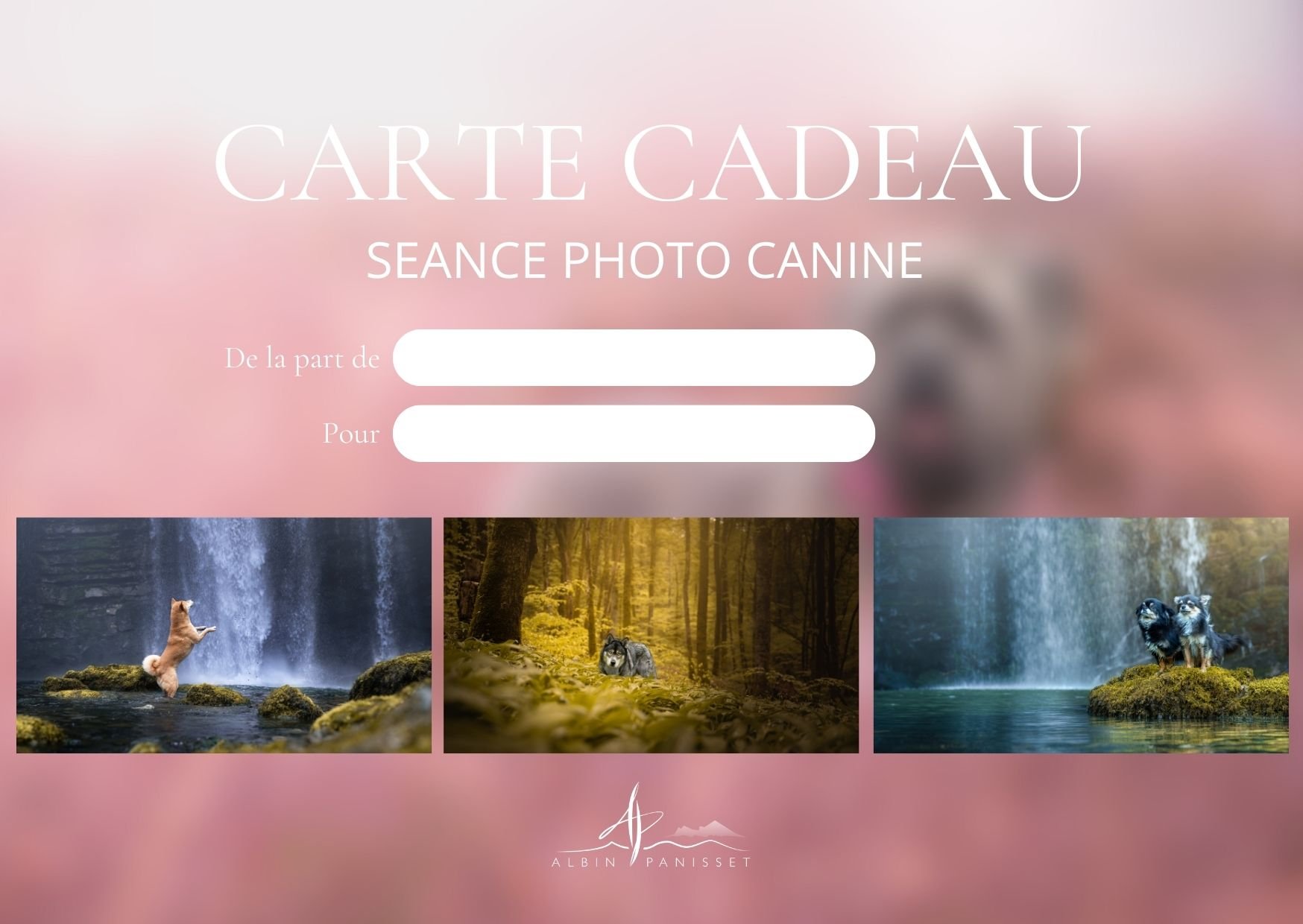 Carte-cadeau Formule découverte