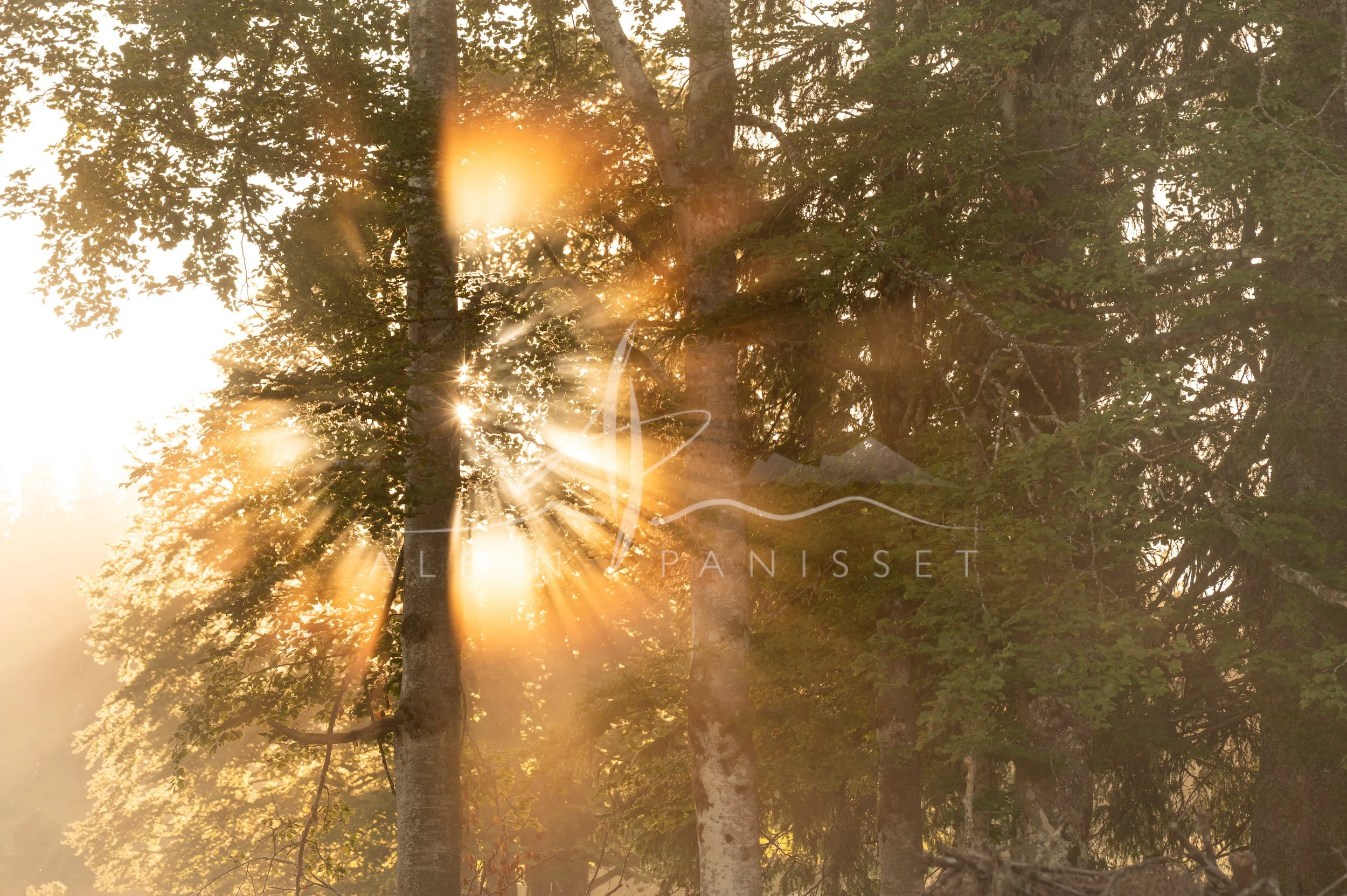 Filtre et soleil