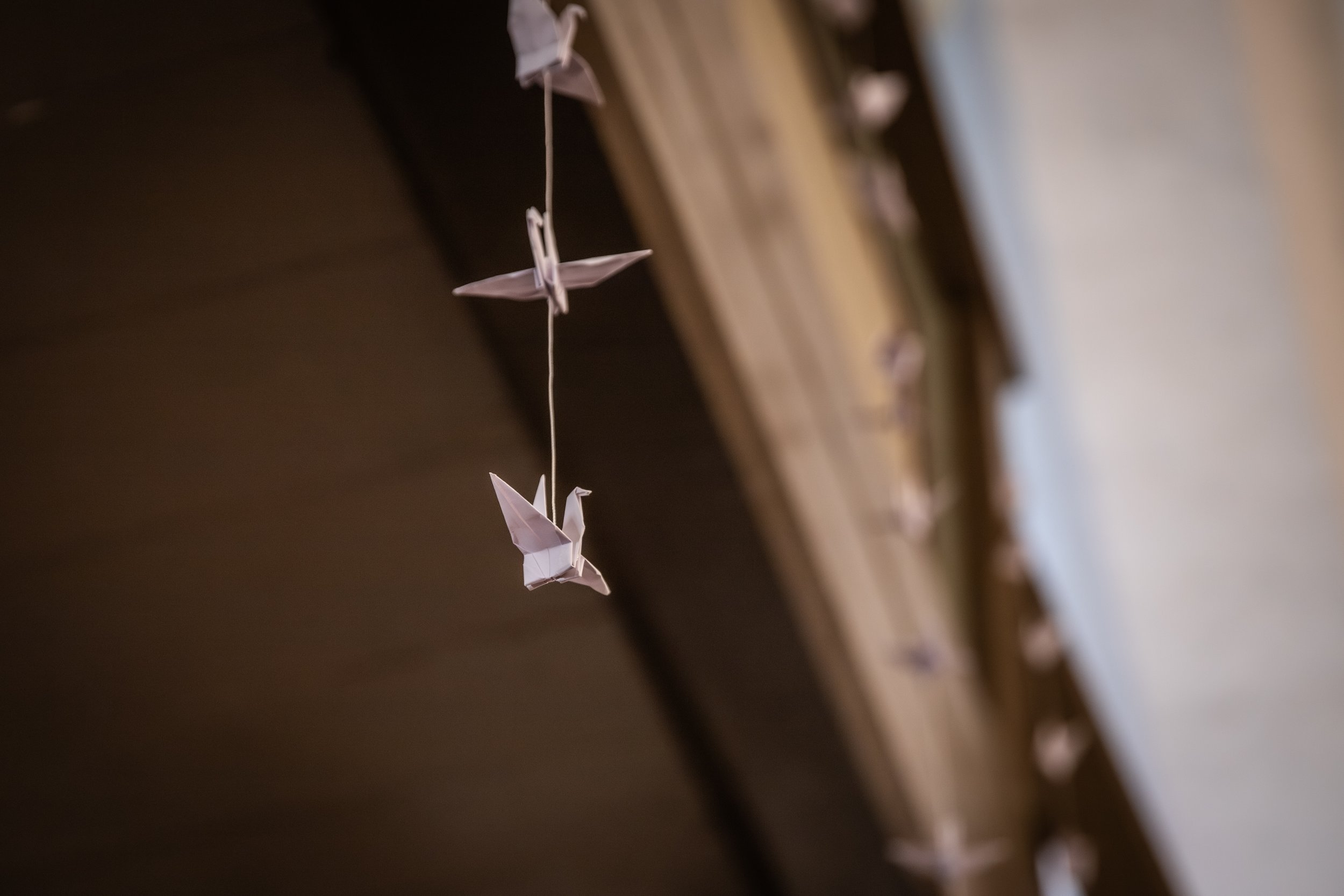 Rando ja Rando Pulmapäev_15.11.25_Richters Visuals (4).jpg