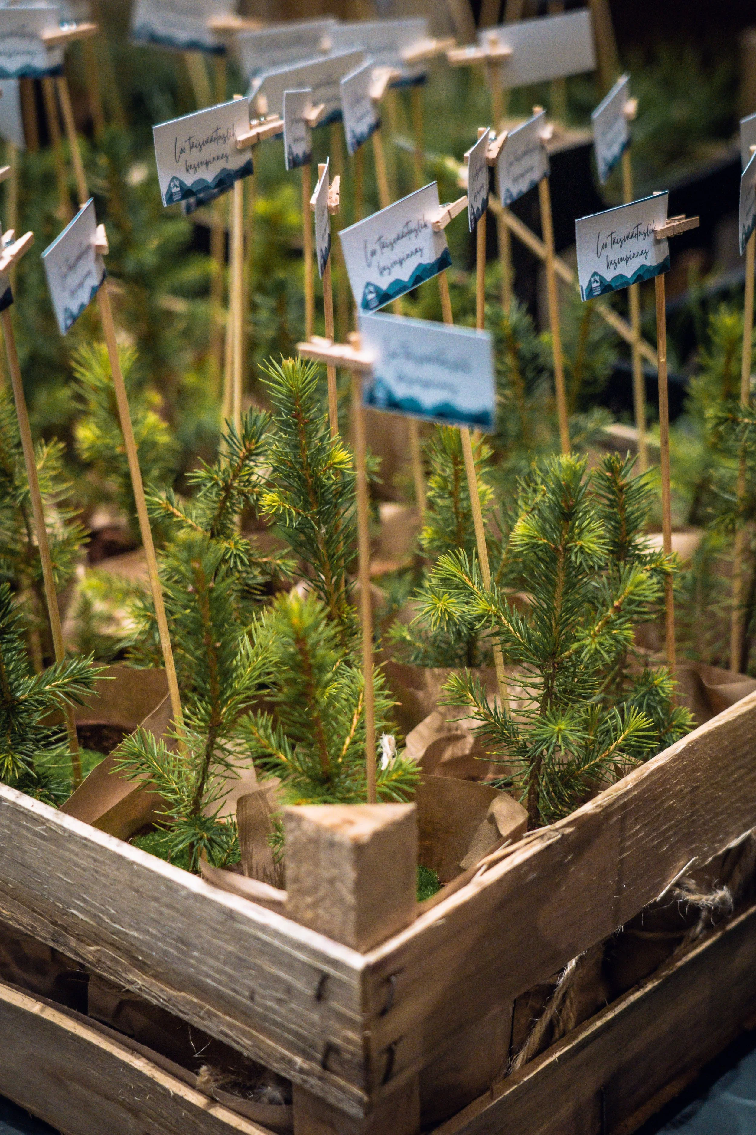 GLS - 1. P_ev_11.11.22_Richter's Visuals (258).jpg