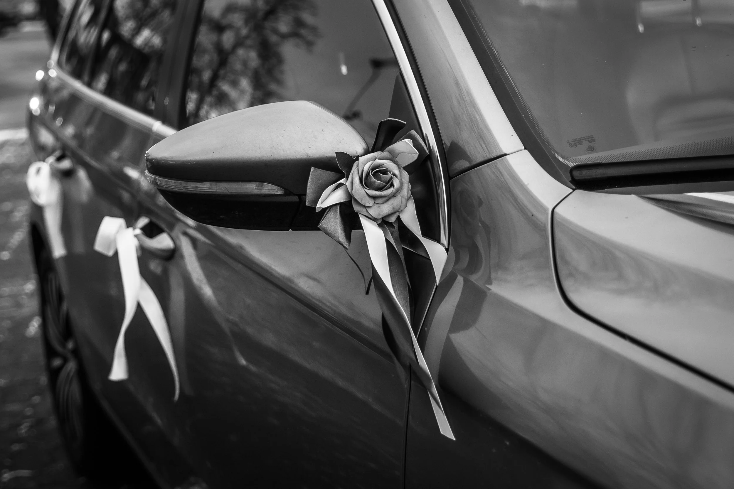 Rando ja Rando Pulmapäev_15.11.25_Richters Visuals (22).jpg