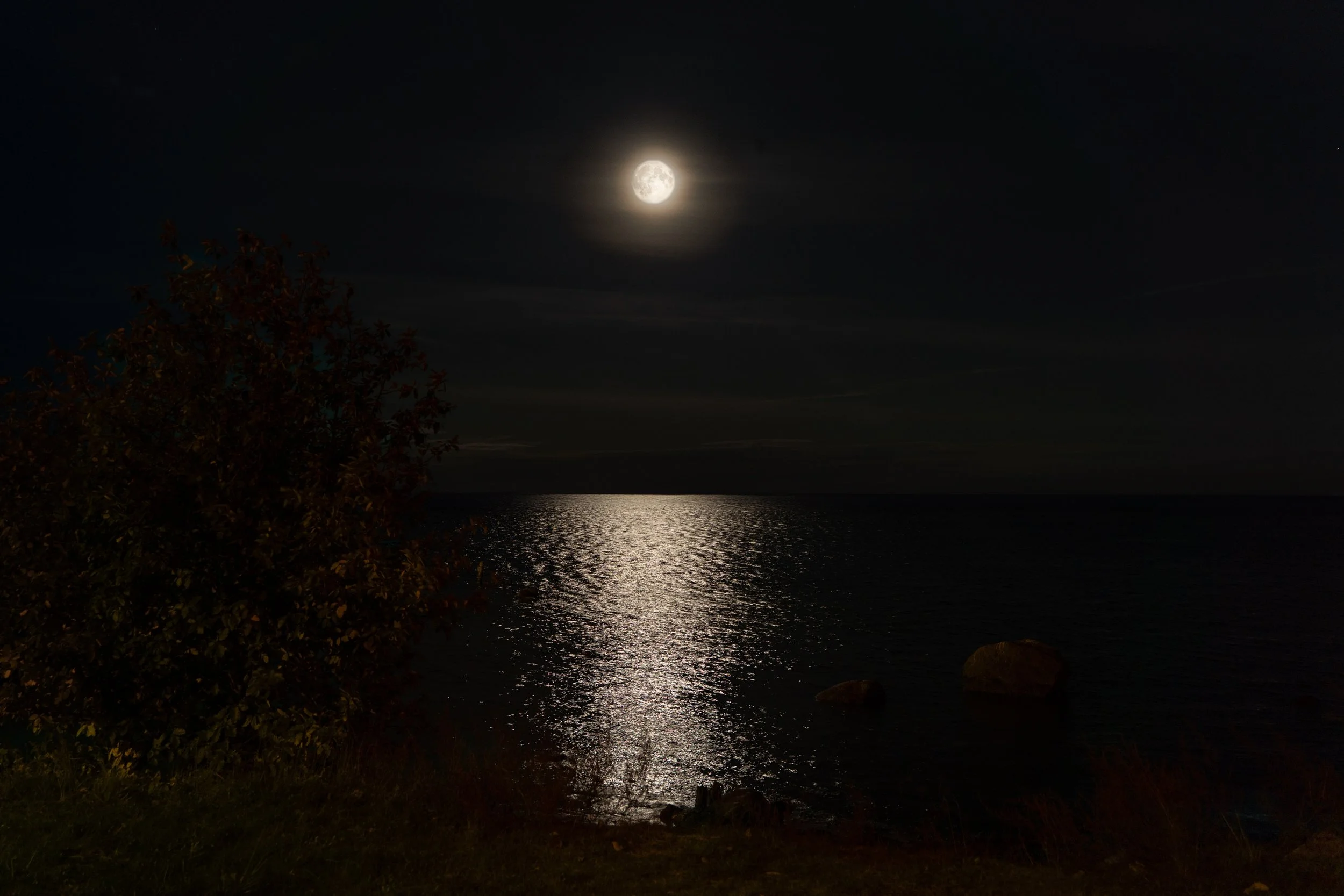 Kontserdi pildid_27.08.24_Richters Visuals (20).jpg