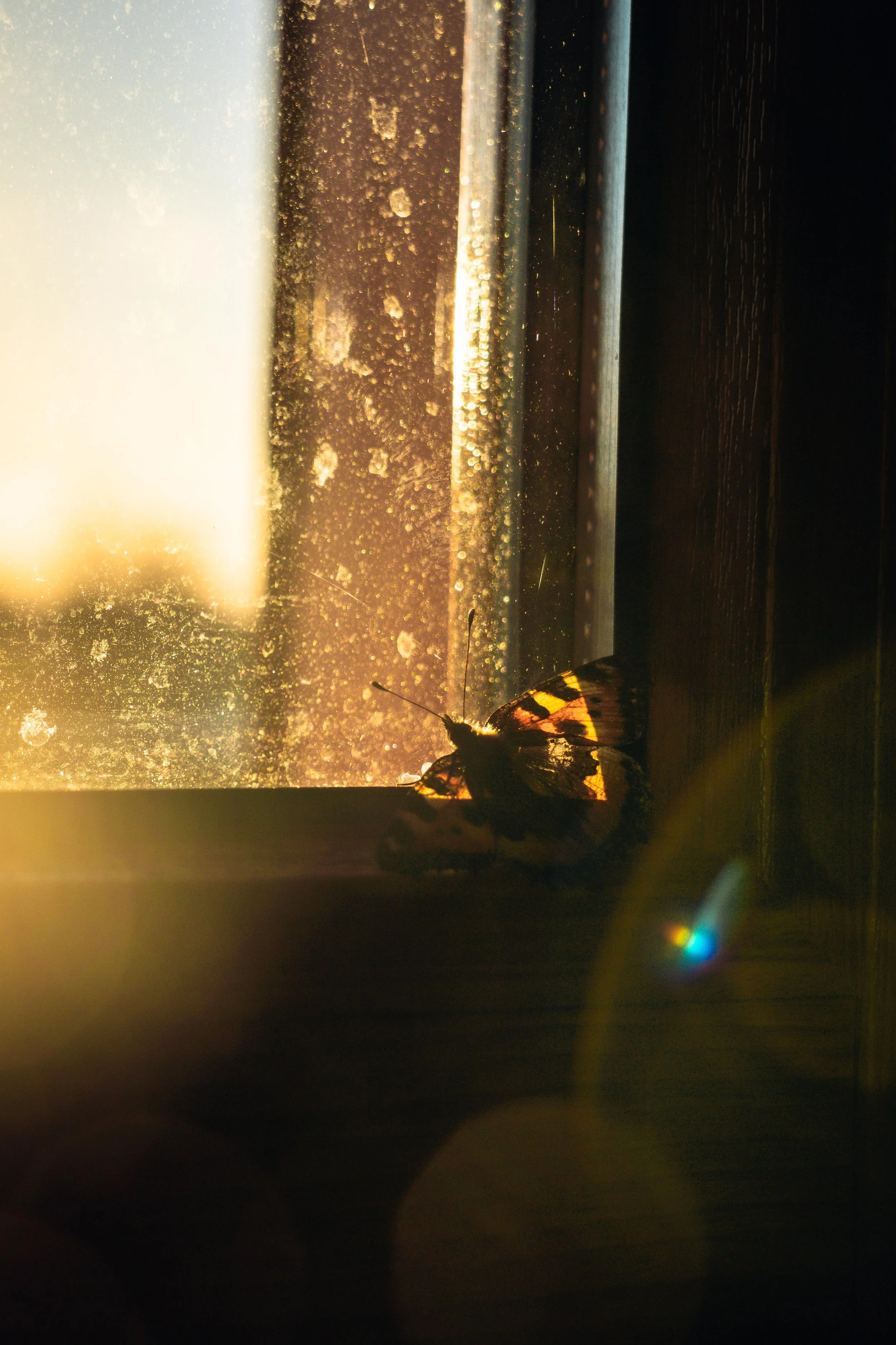 Pöördes aastalõpp 2022_1. päev_A. Richter (1).jpg