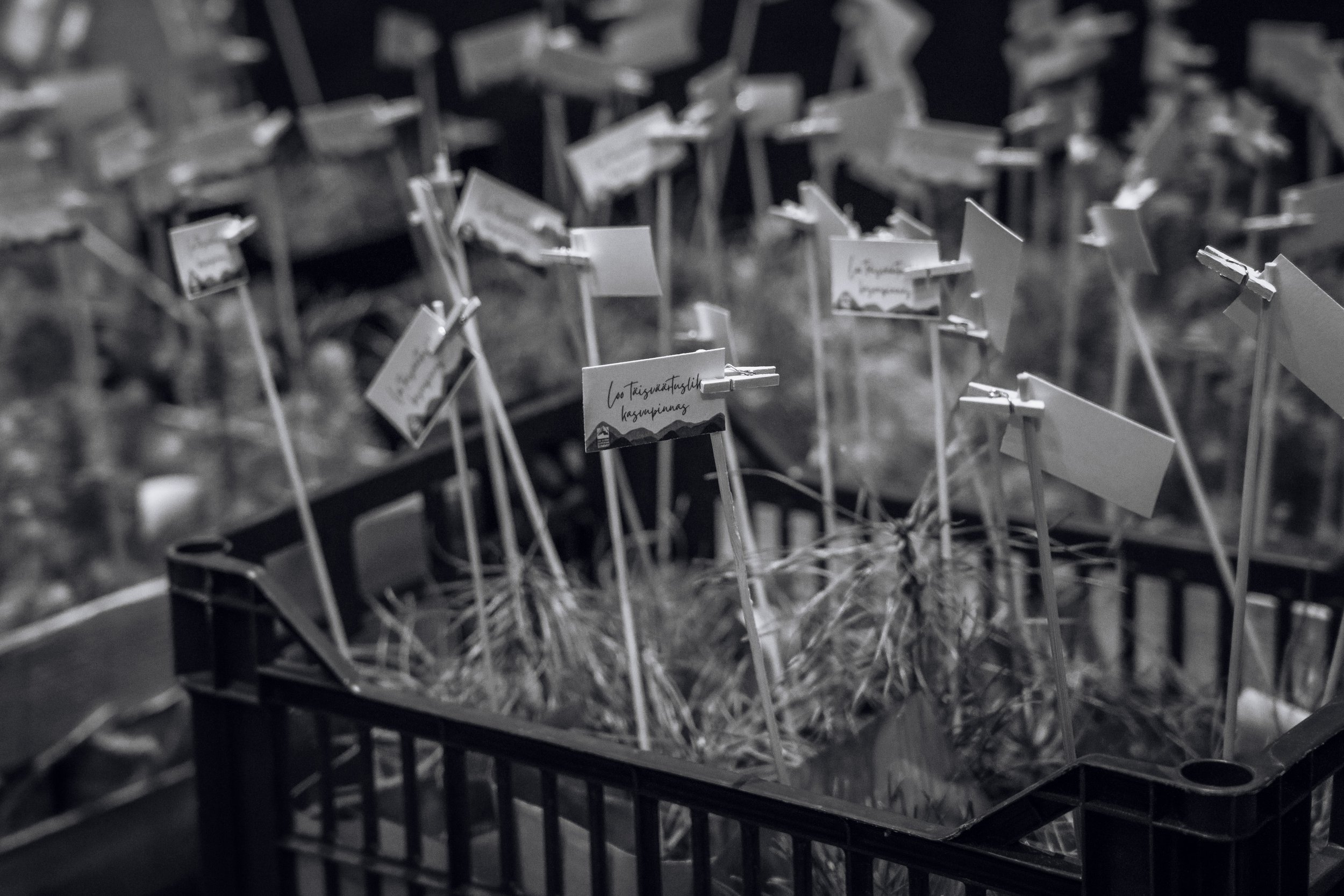 GLS - 1. P_ev_11.11.22_Richter's Visuals (256).jpg