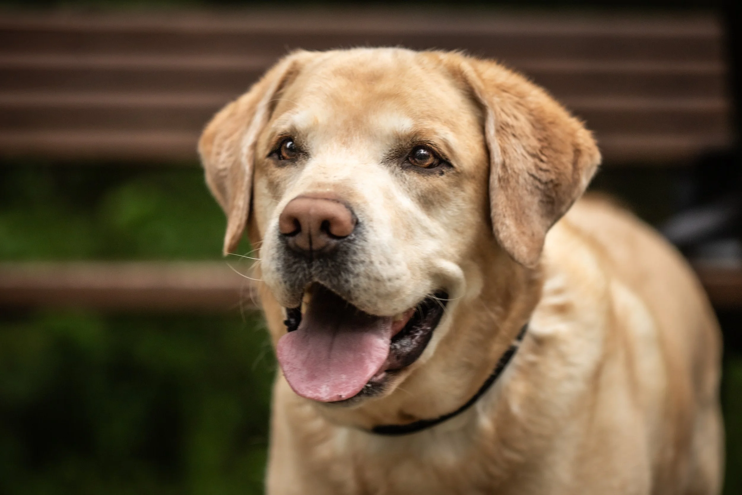 Perekond Gill_03.07.25_Richters Visuals (7).jpg