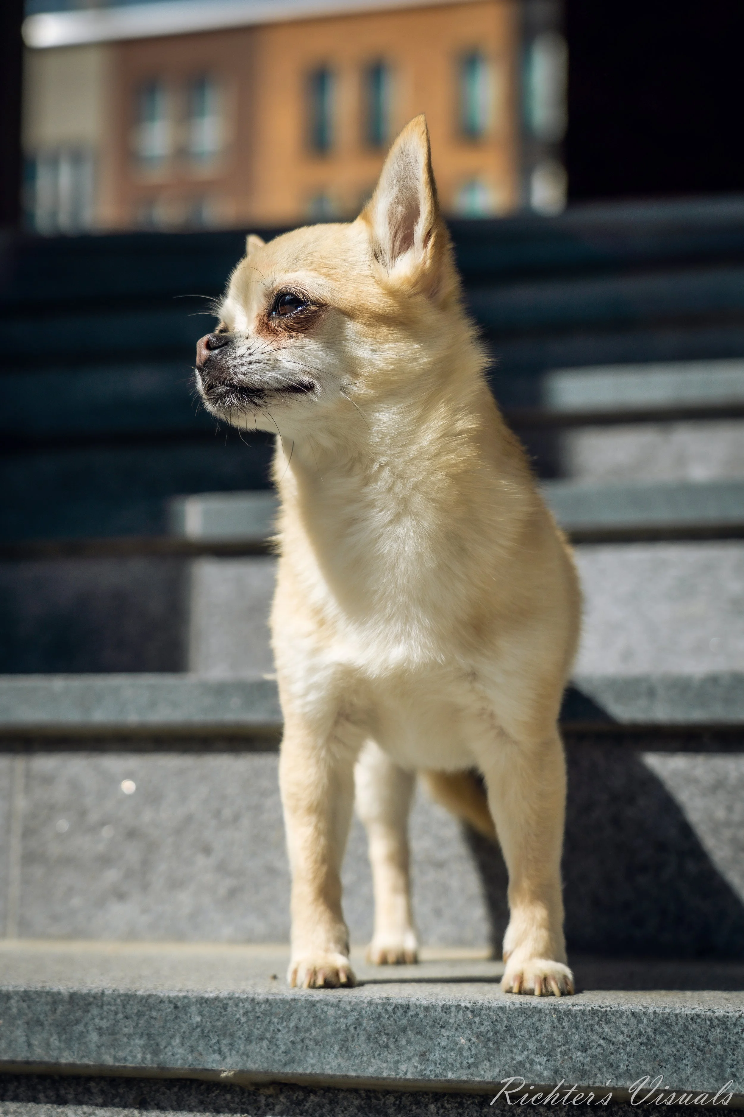 Sigrid Tamme_14.05.21_Richter's Visuals (9).jpg