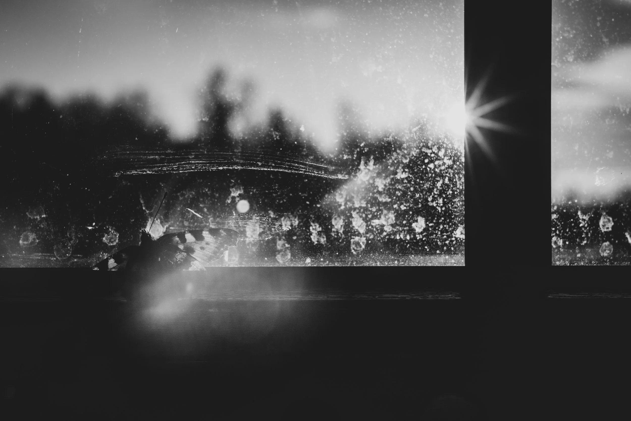 Pöördes aastalõpp 2022_1. päev_A. Richter (2).jpg