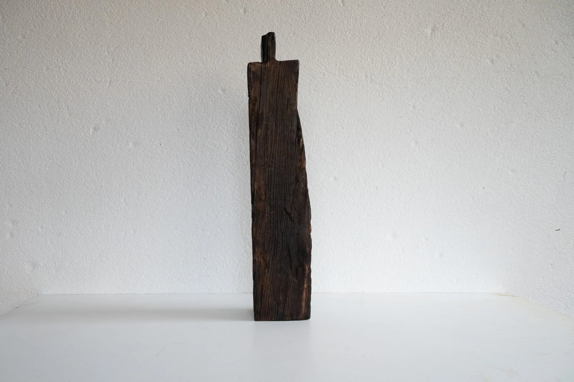 | Forêt pétrifiée