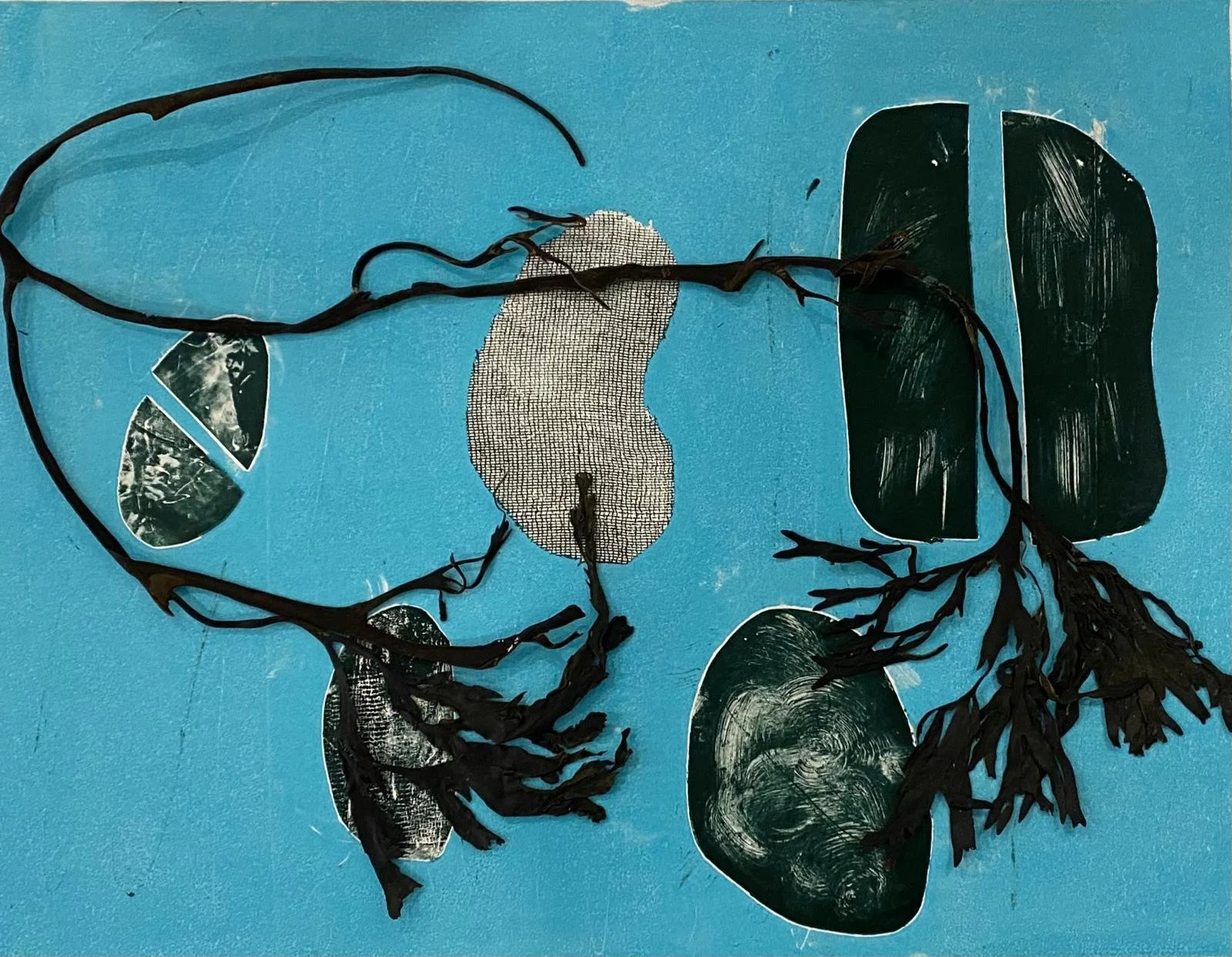 Seaweed Monoprint2.jpeg