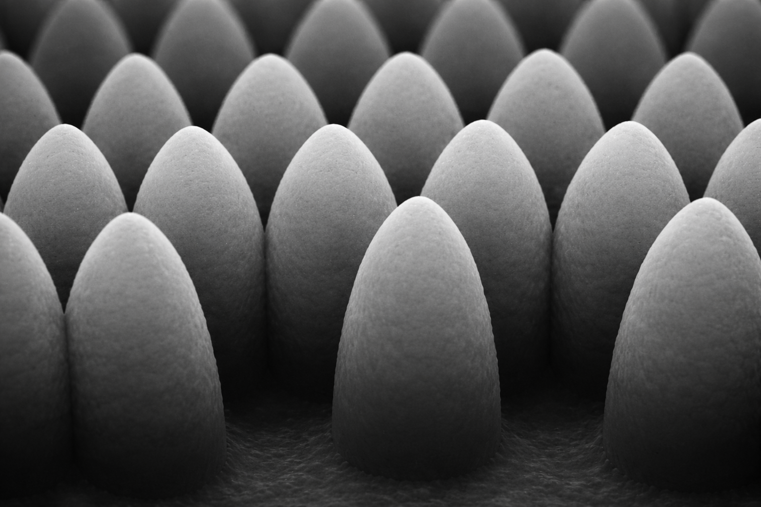 Close-up of numerous rounded, cone-shaped pills arranged in rows, monochrome image.