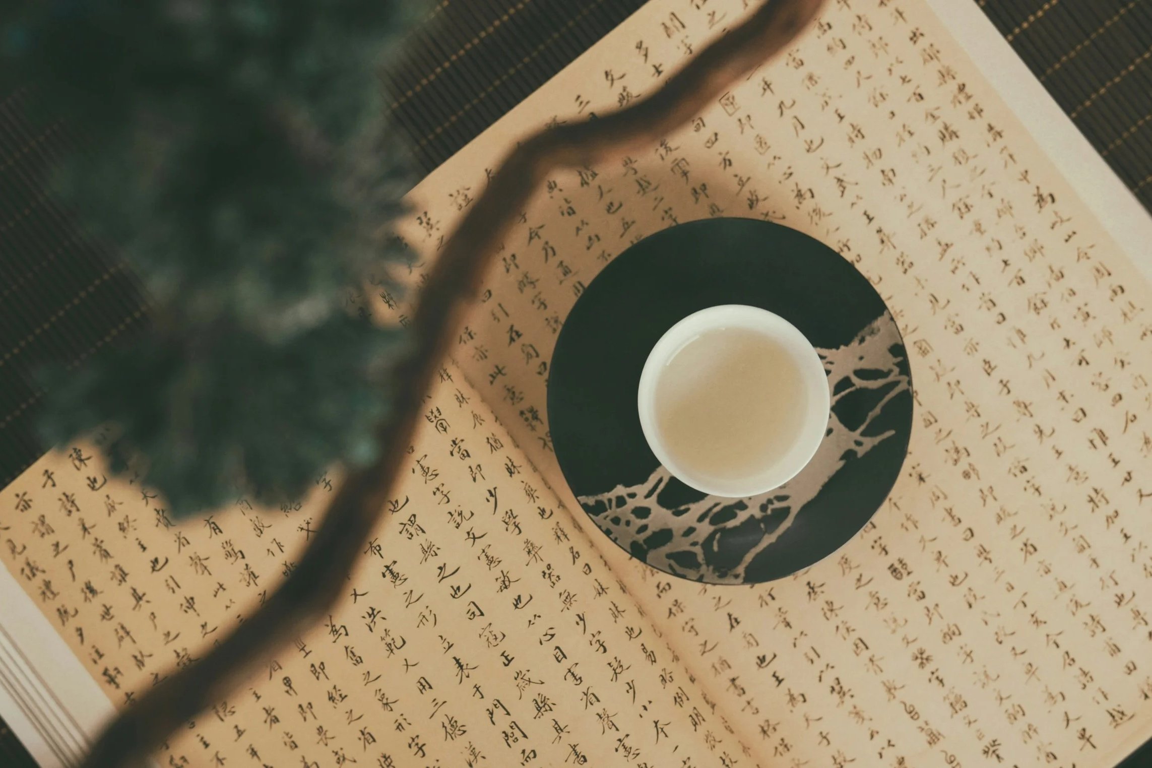 Chinese characters on paper with a cup of tea, representing Chinese language learning