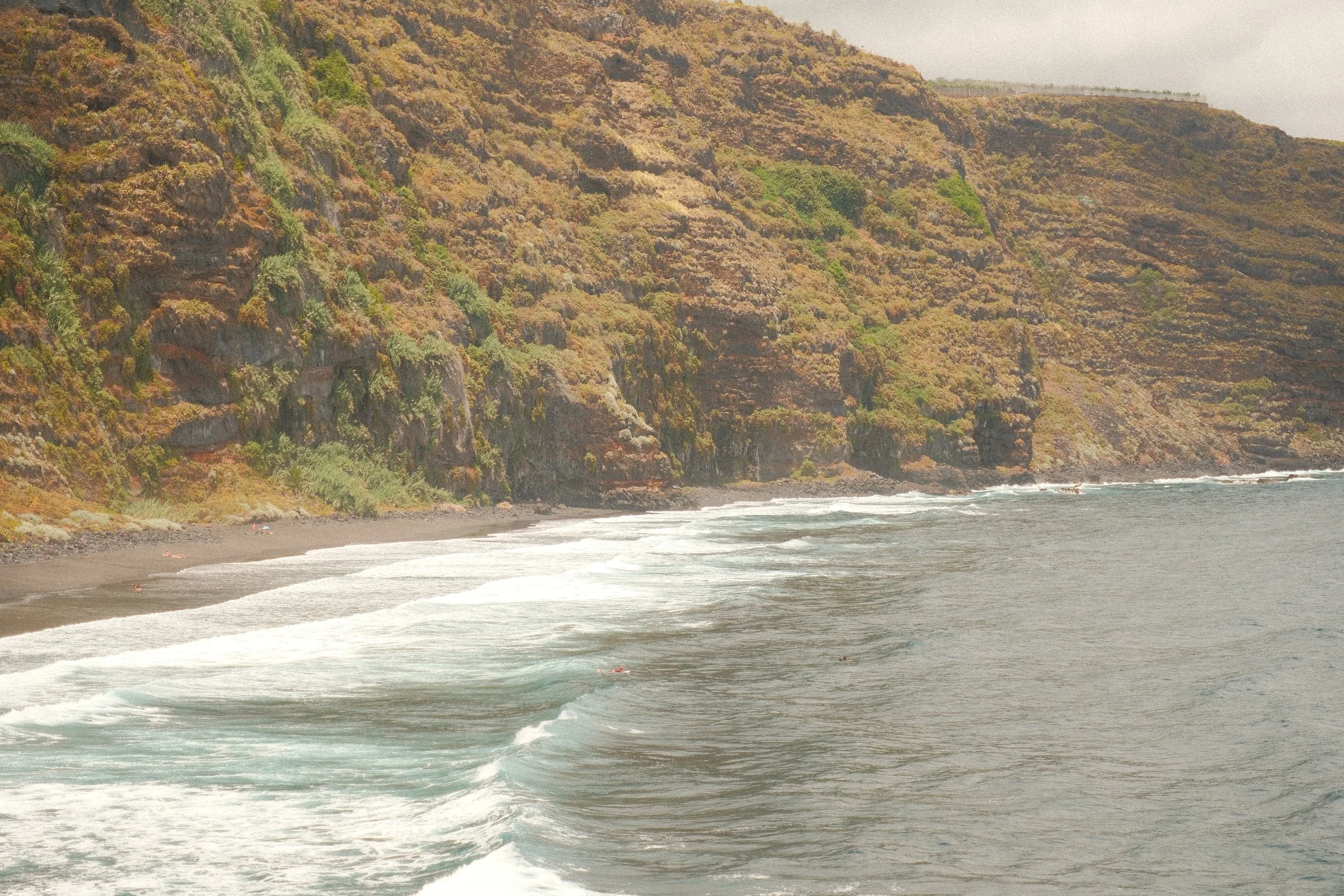 DSCF4989.JPG