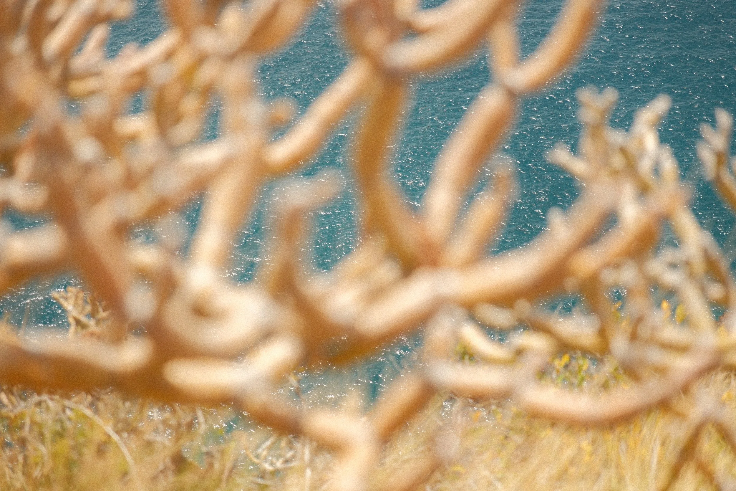 DSCF4970.JPG