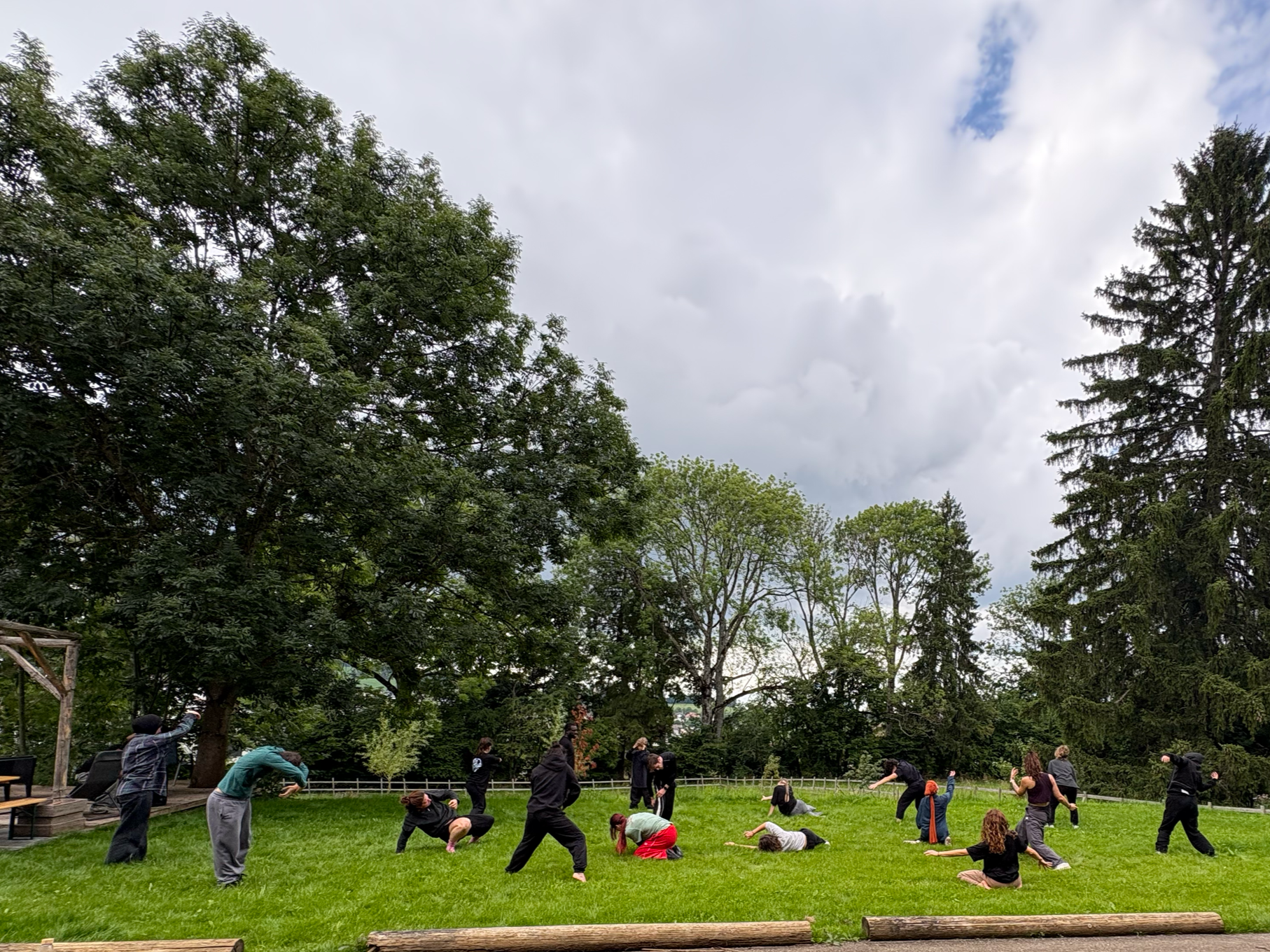 Groupe de personnes pratiquant le yoga ou la méditation en plein air sur une pelouse verte entourée d'arbres, avec un ciel nuageux en arrière-plan.