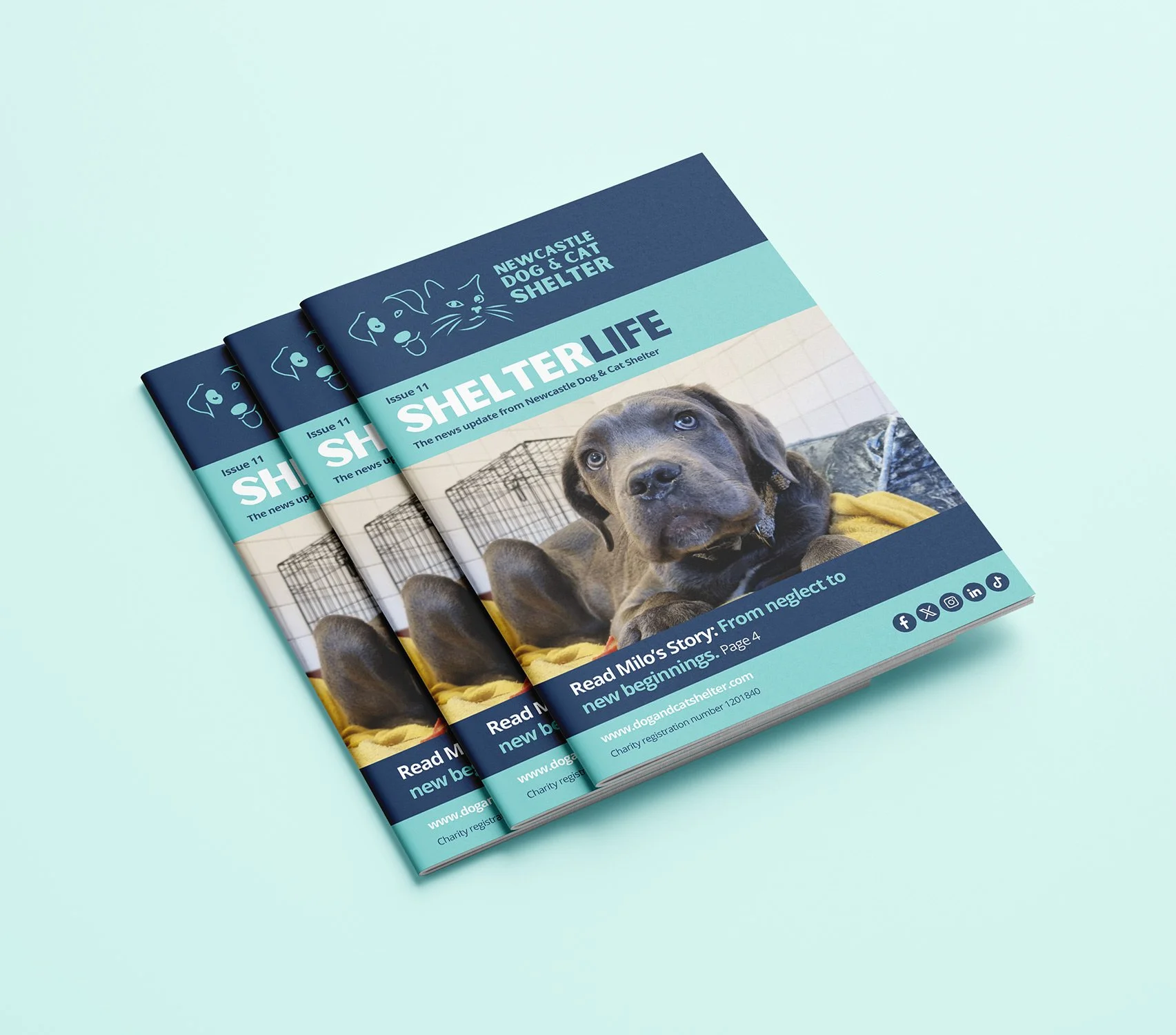 Three copies of a dog shelter newsletter titled 'Shelter Life', featuring a picture of a black puppy and social media icons.