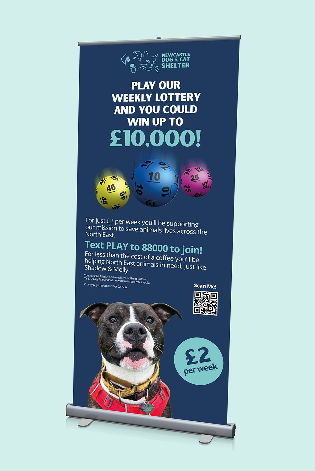 Roll-up banner promoting a charity lottery for Newcastle Dog & Cat Shelter, featuring images of lottery balls and a dog in a red harness.