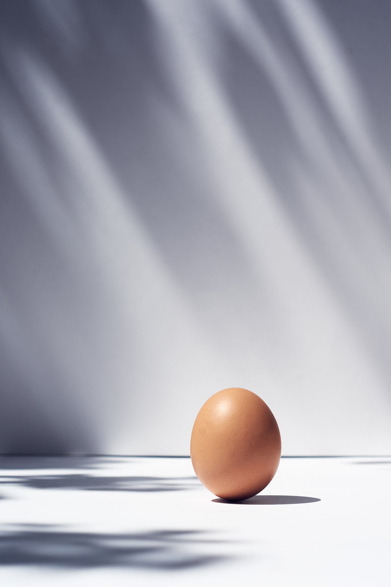 Egg-shadows-web.jpg