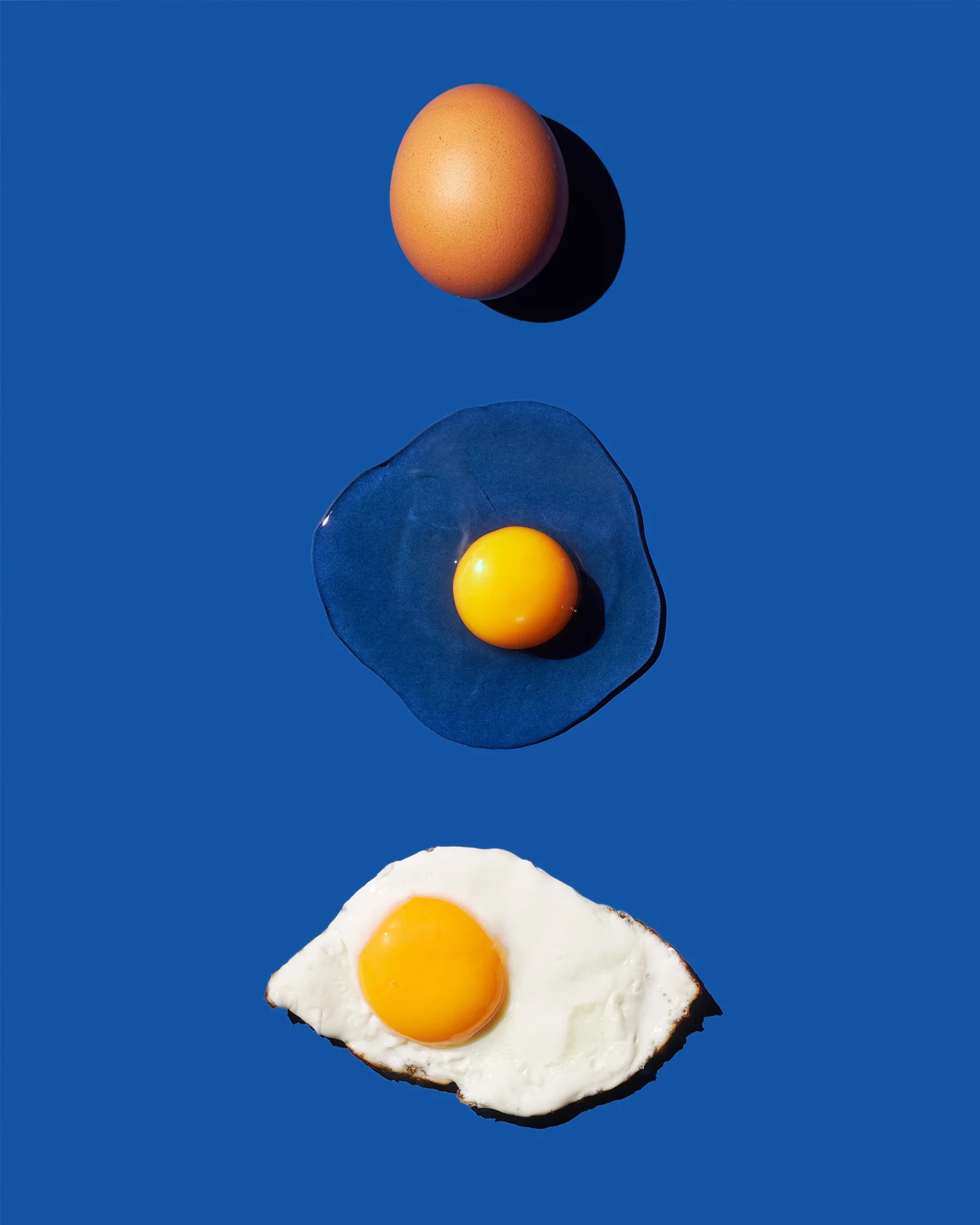 EGGS_BLUE_web.jpg