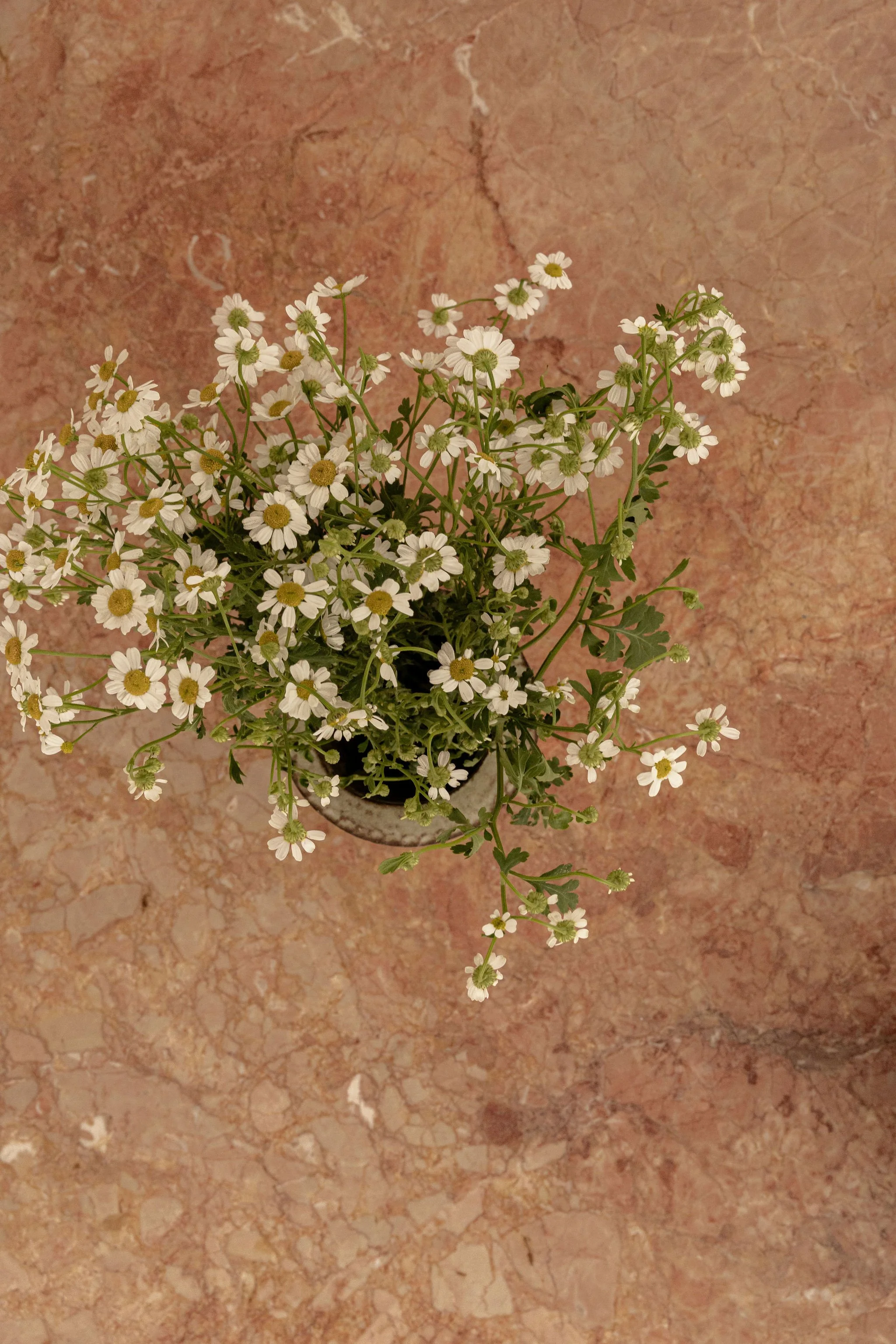 0027 - Copy.jpg
