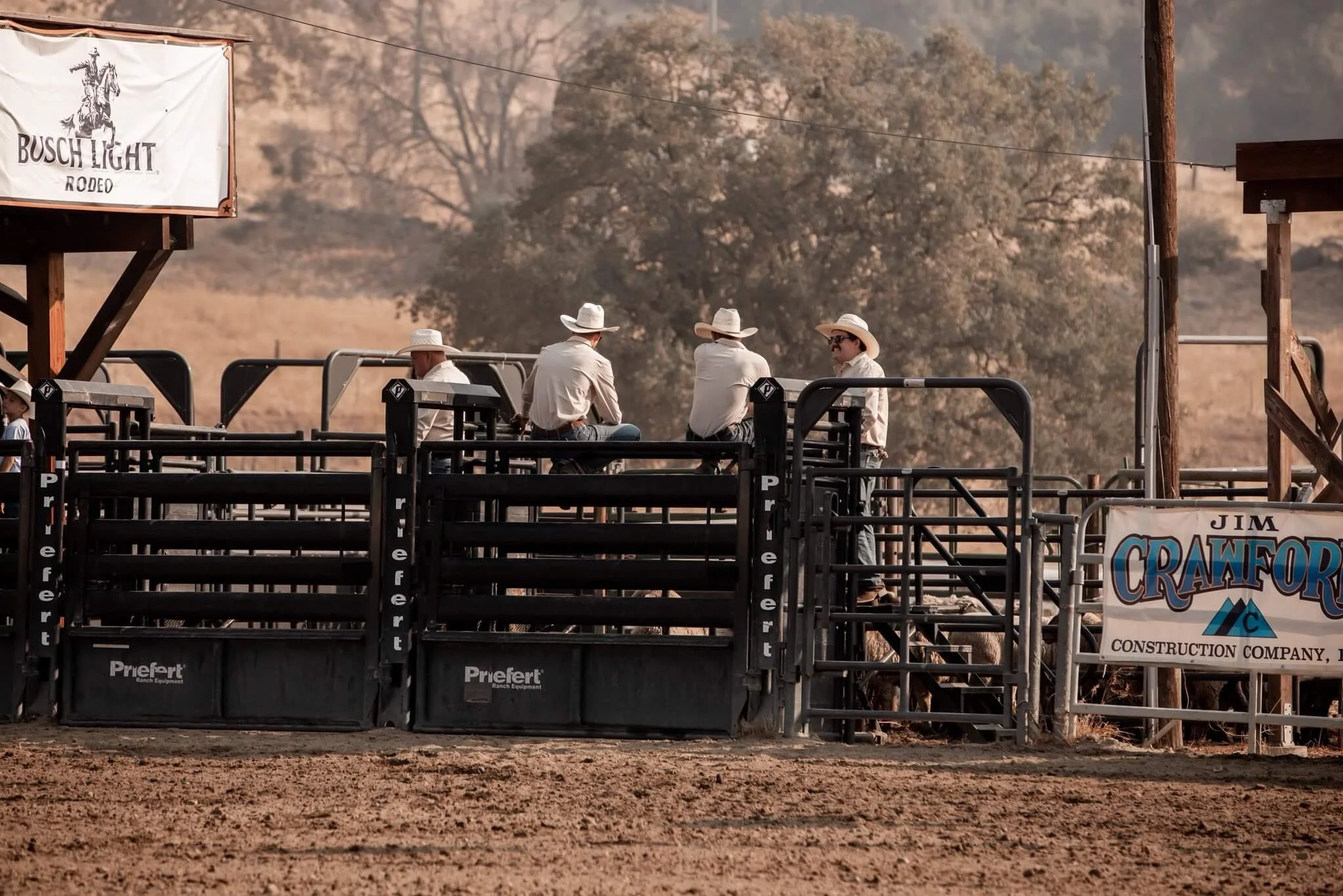 Four men in cowboy hats and western attire sitting on a railing at a rodeo arena, with a dirt ground and trees in the background, and signs for Busch Light Rodeo and Jim Crawford Construction.