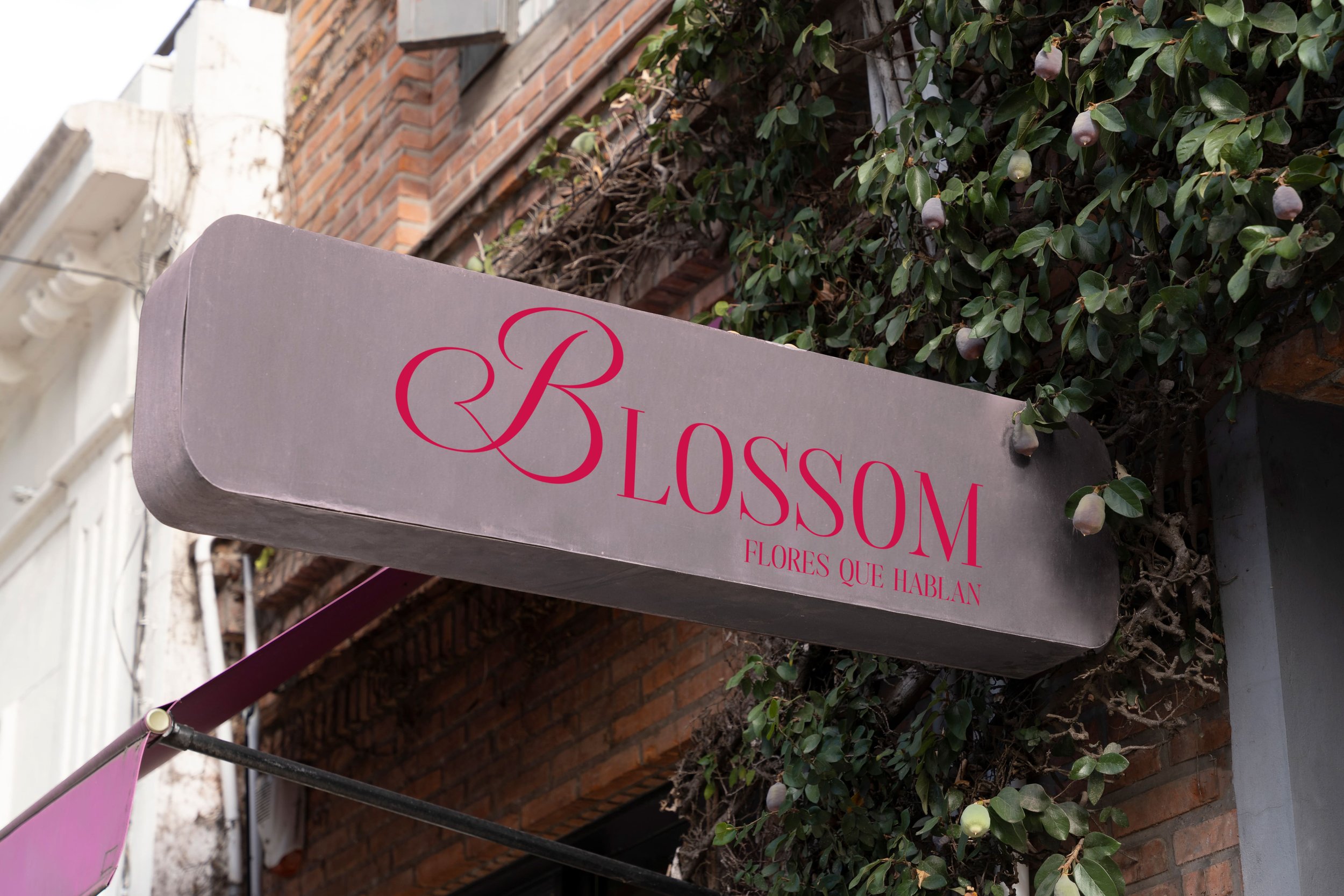 Rótulo de tienda que dice 'Blossom Flores que Hablan' en letras rosadas, con fondo gris, rodeada de plantas verdes en una pared de ladrillos.