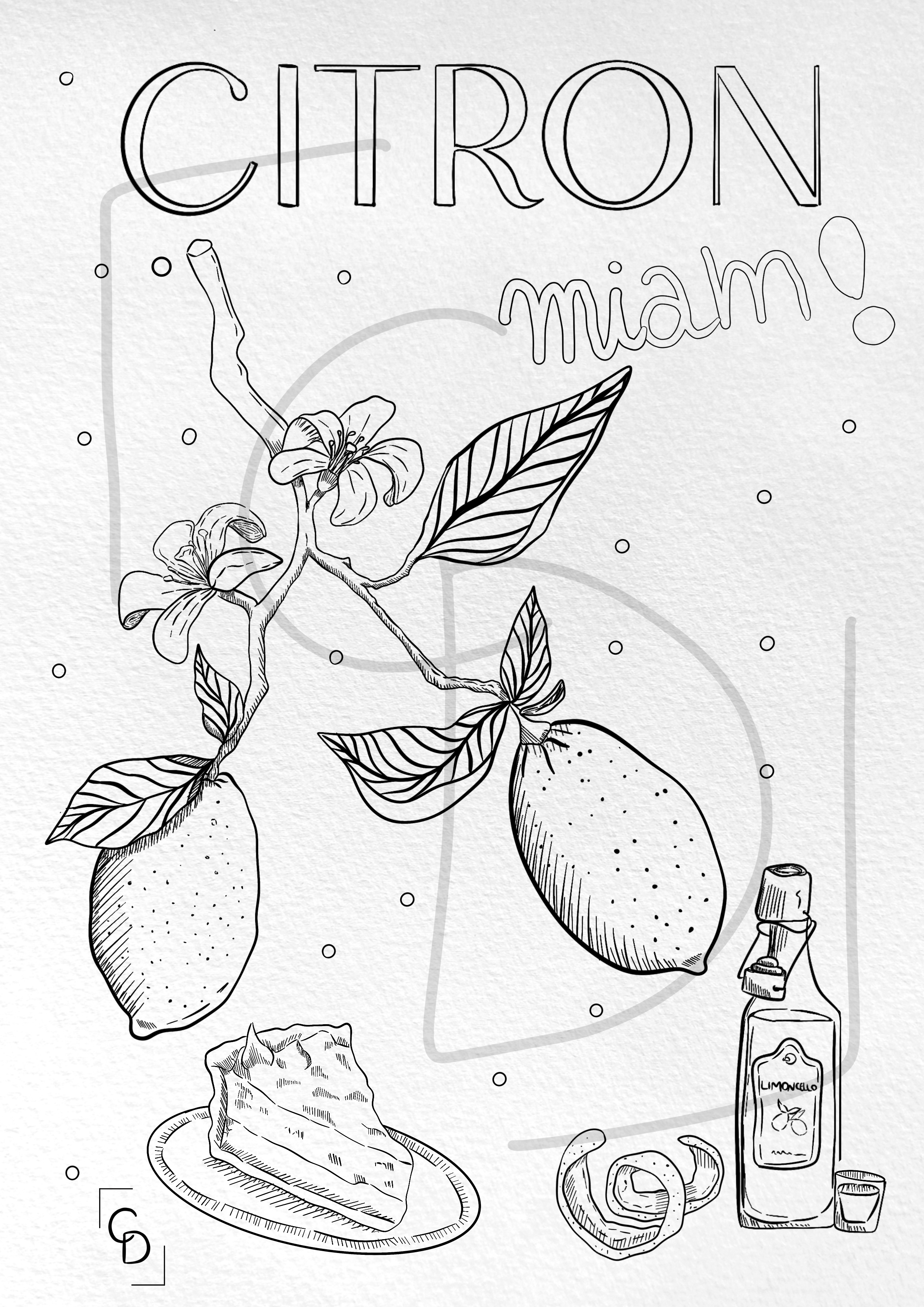 Illustration_sans_titre 11 copie.png