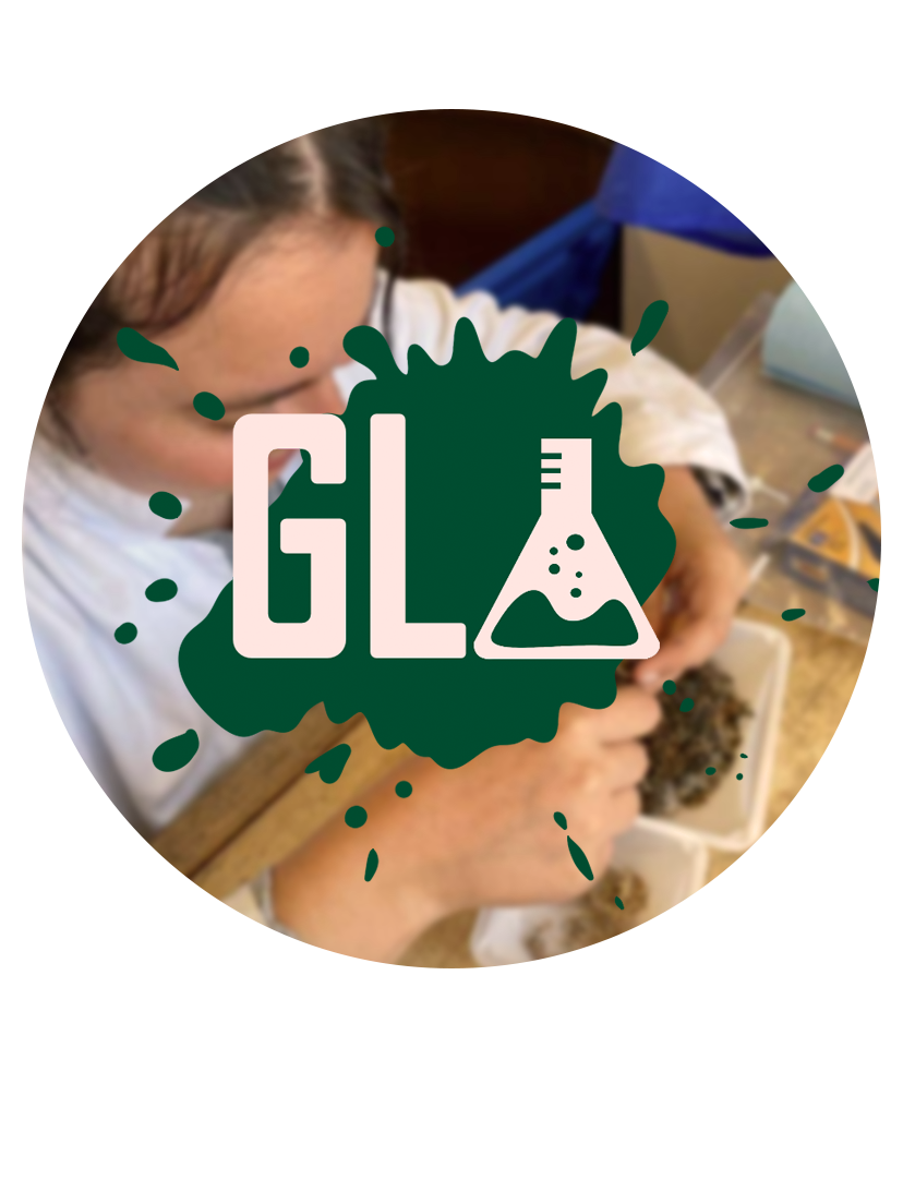 Une personne travaille avec des échantillons de laboratoire sur un plan de travail. Un logo avec la lettre 'GL' et une fiole de laboratoire est superposé à l'image.
